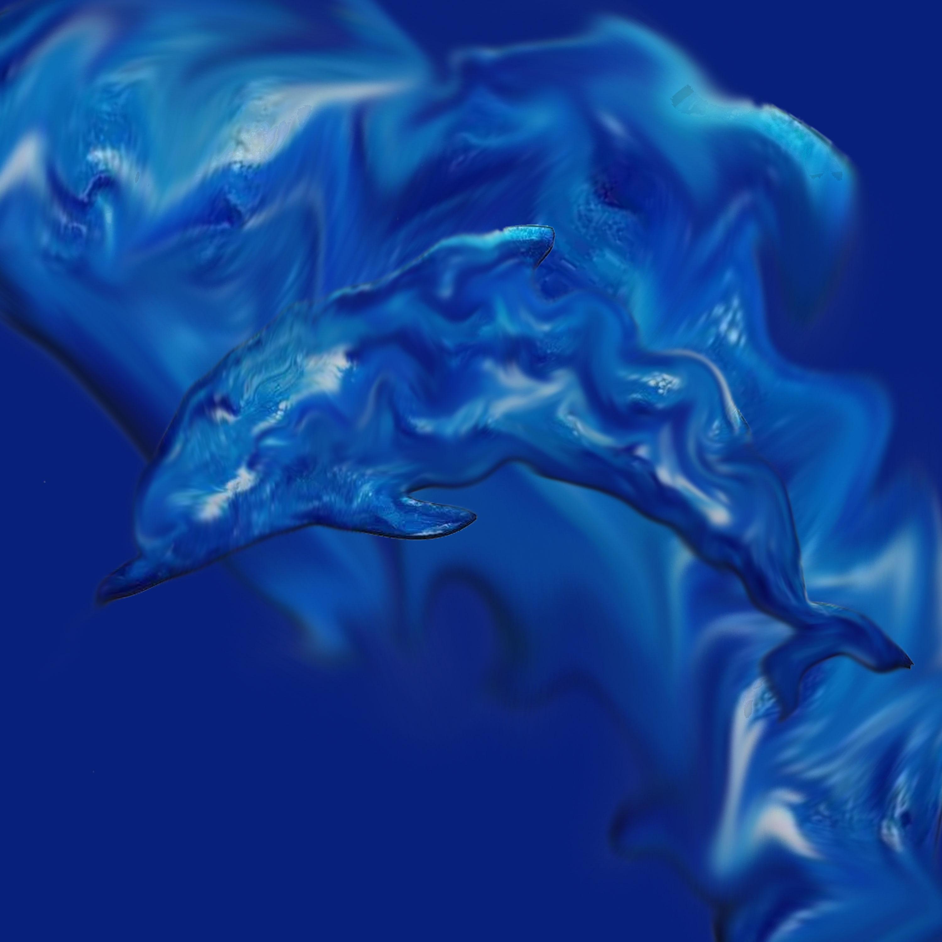 Релиз wobbly dolphin