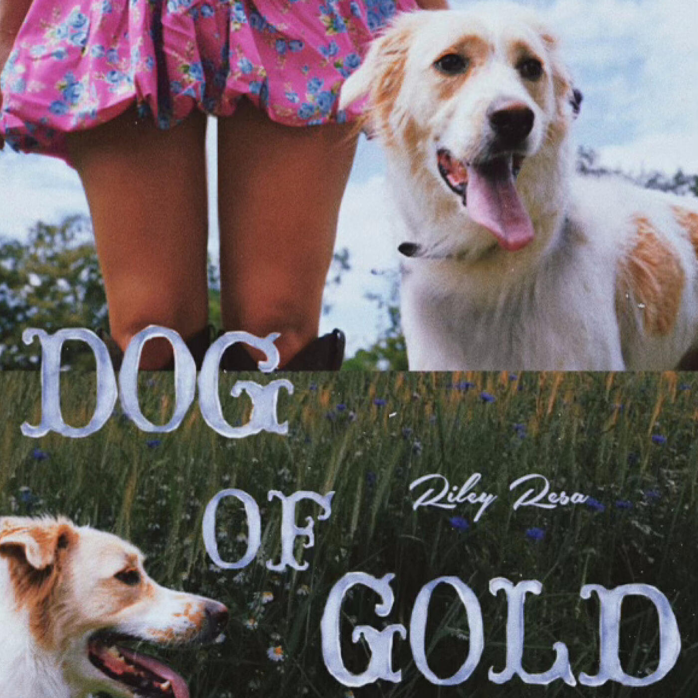 Релиз Dog of Gold