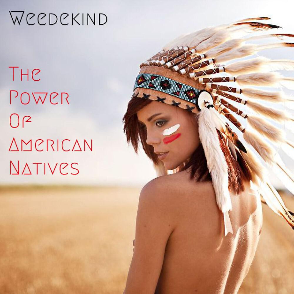 Релиз The Power of American Natives