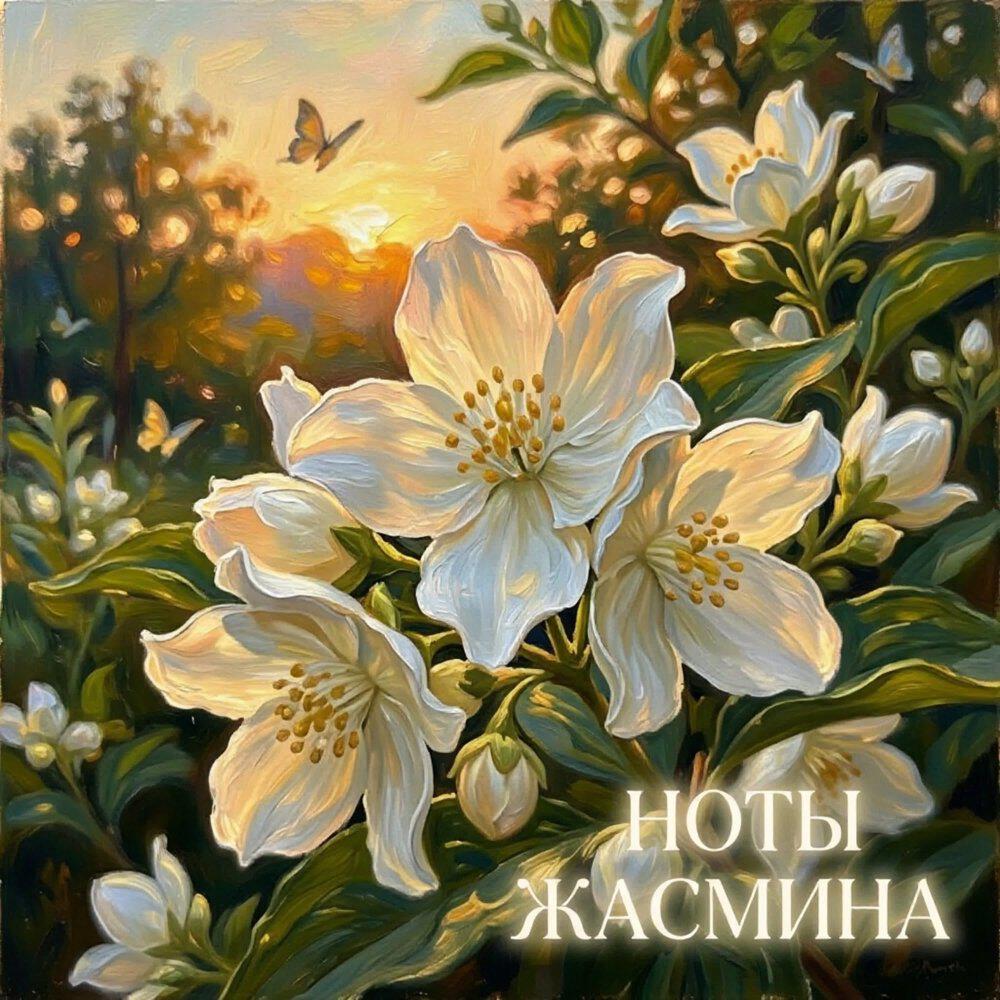 Релиз Ноты жасмина
