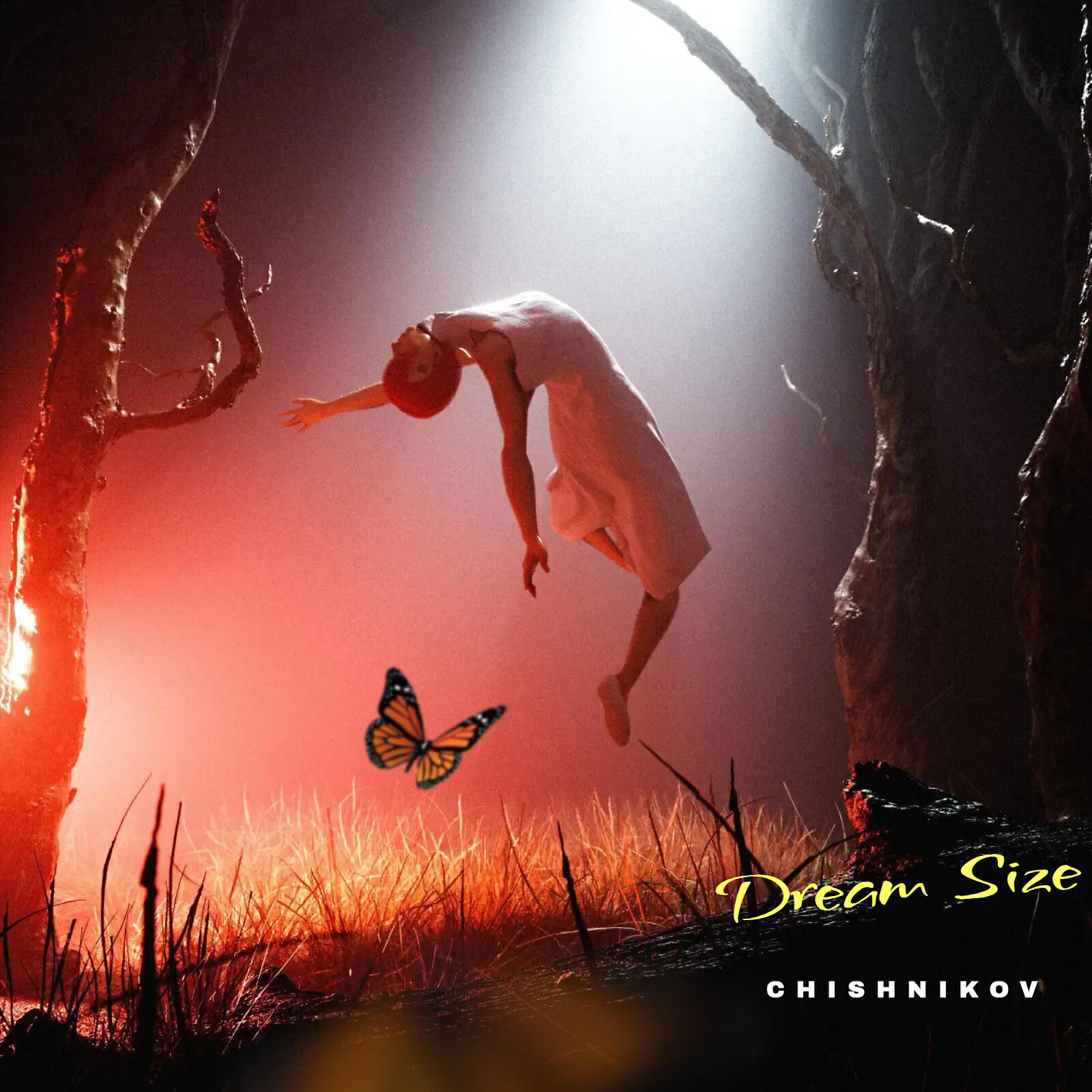 Релиз Dream Size