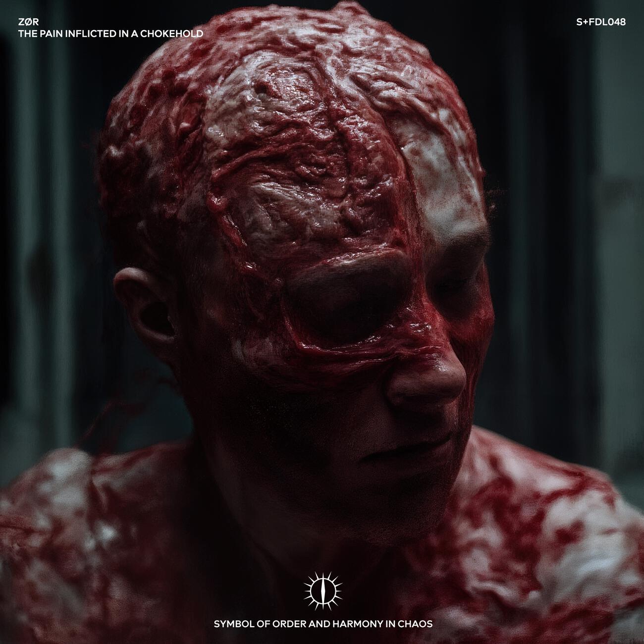 Релиз THE PAIN INFLICTED IN A CHOKEHOLD