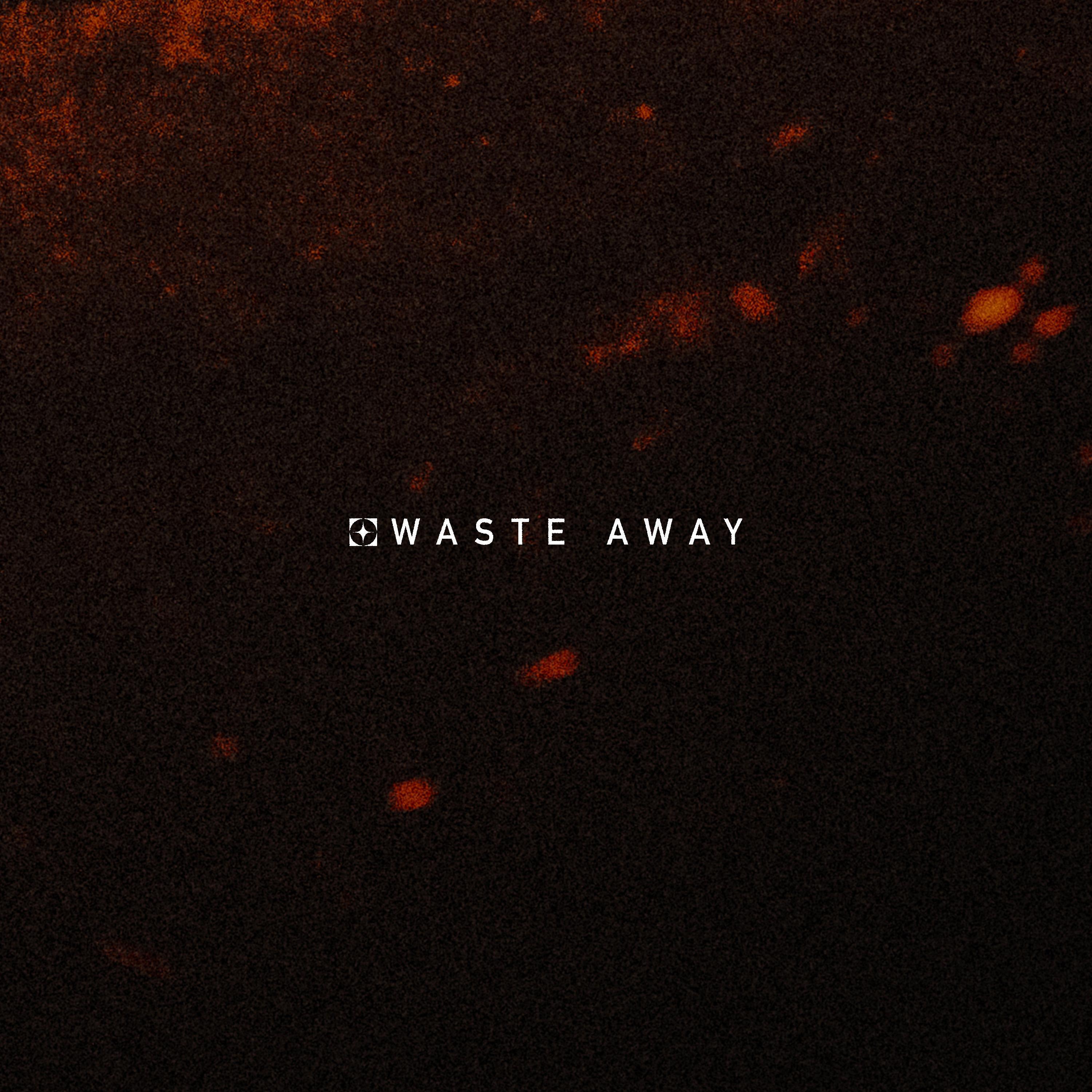 Релиз Waste Away
