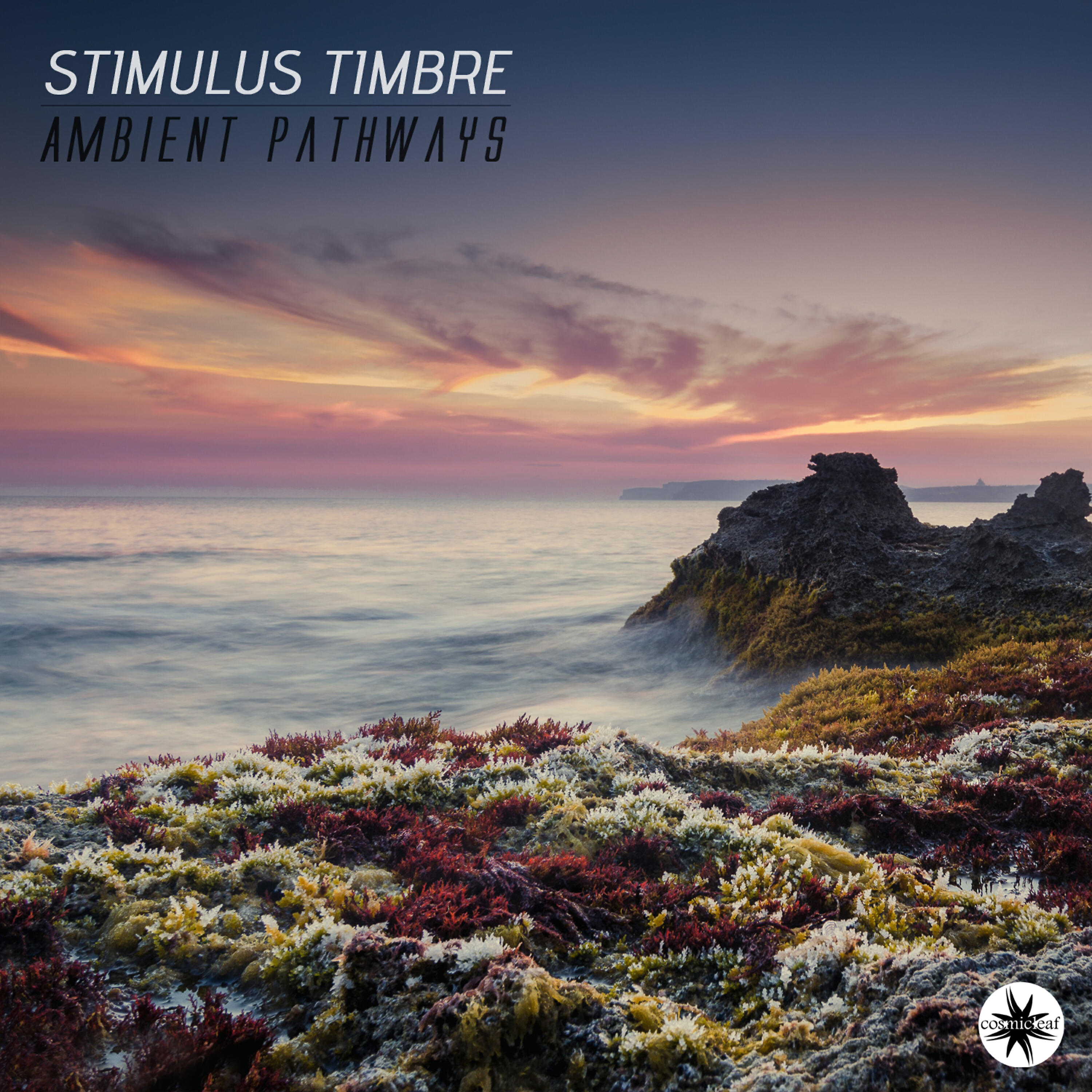 Релиз Ambient Pathways