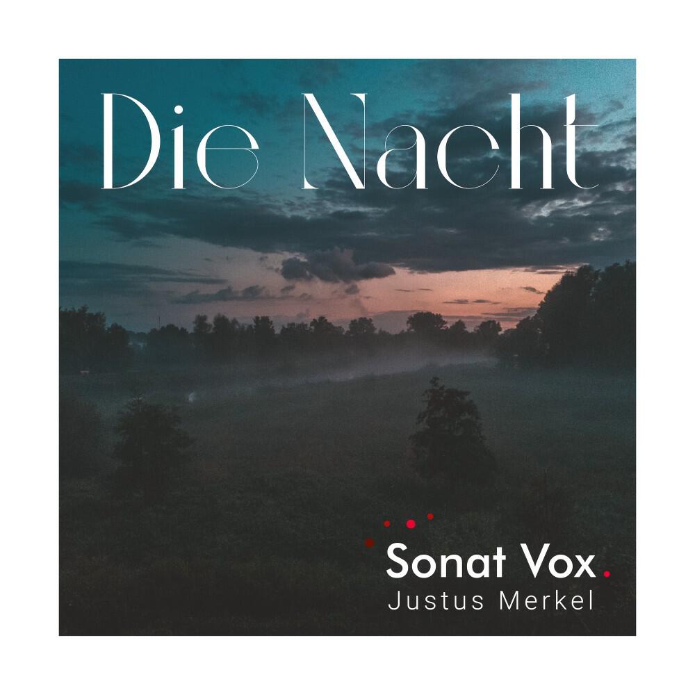 Релиз Die Nacht