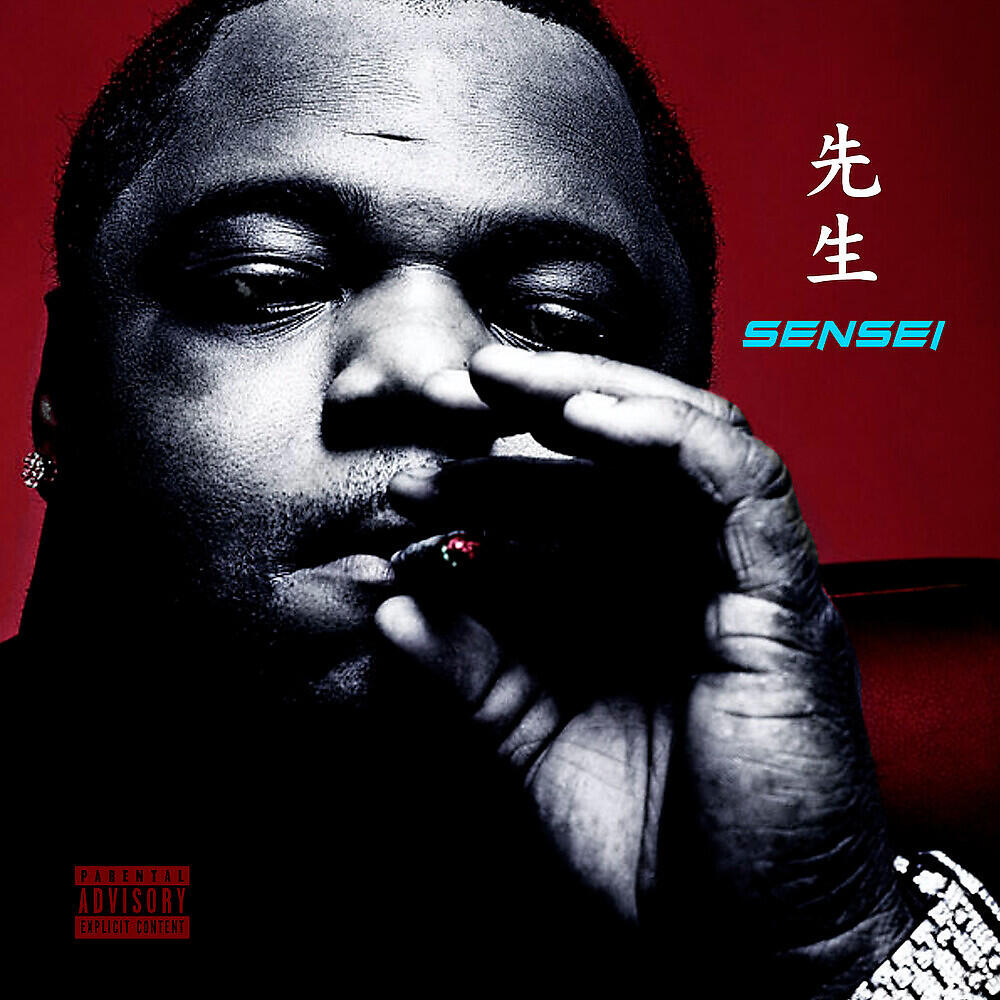 Релиз Sensei