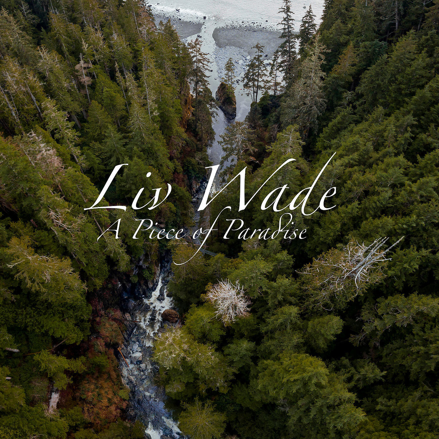 Релиз A Piece of Paradise
