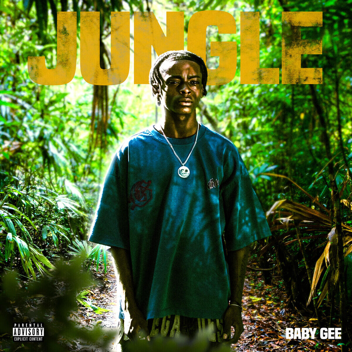 Релиз Jungle