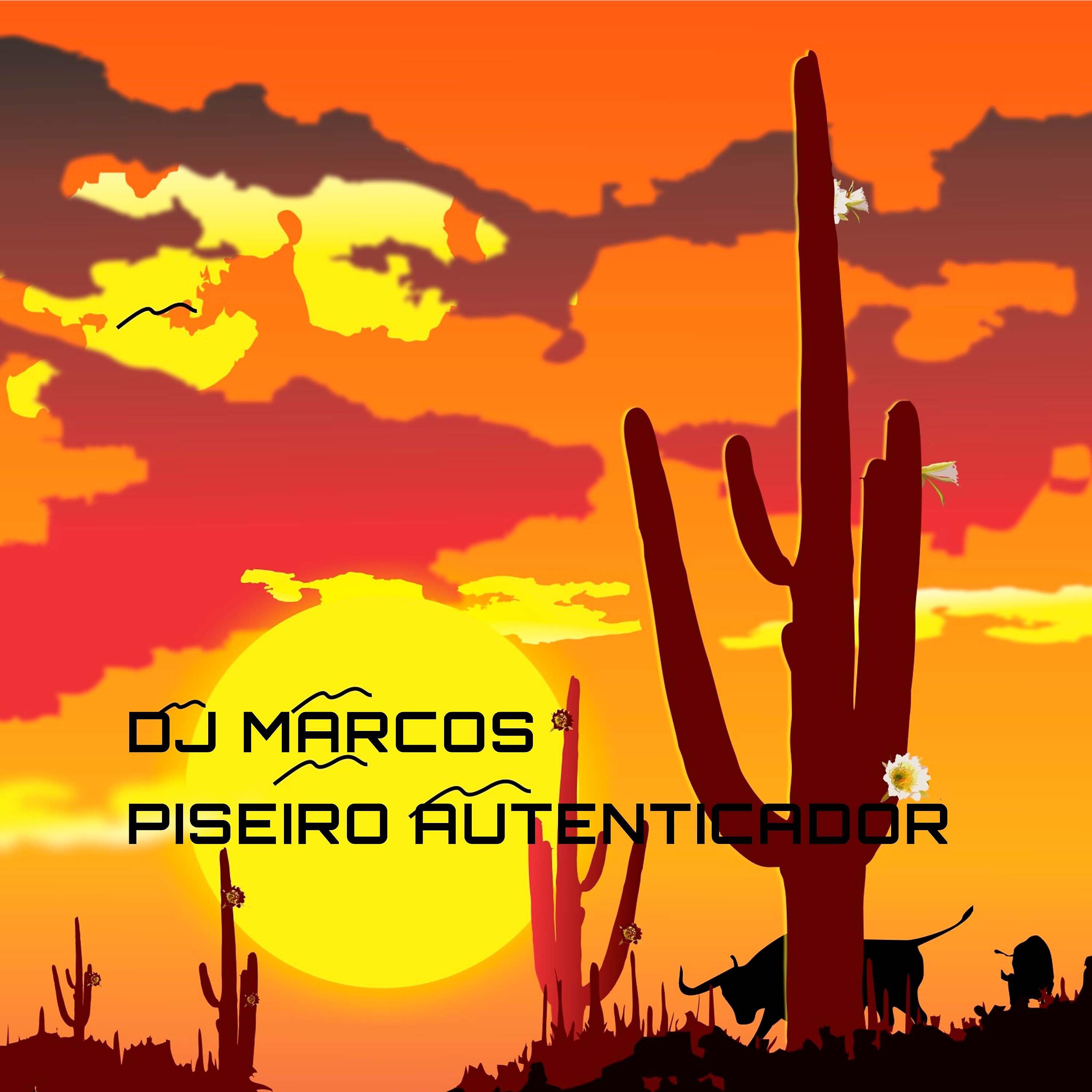 Релиз Piseiro Autenticador