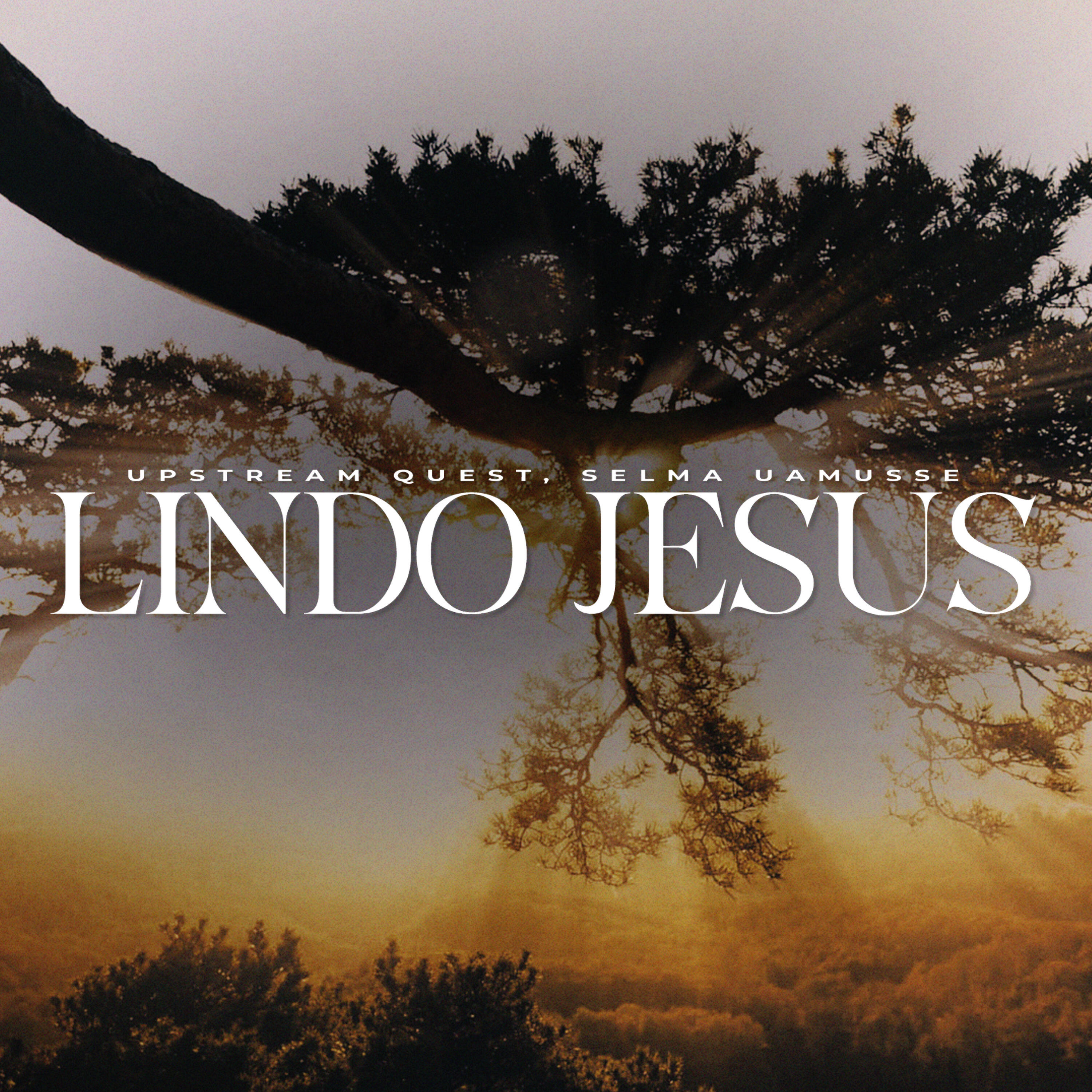 Релиз Lindo Jesus