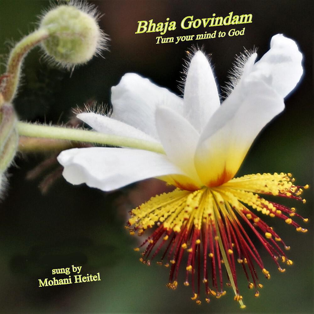 Релиз Bhaja Govindam: Turn Your Mind to God