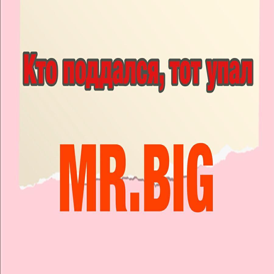 Mr.big
