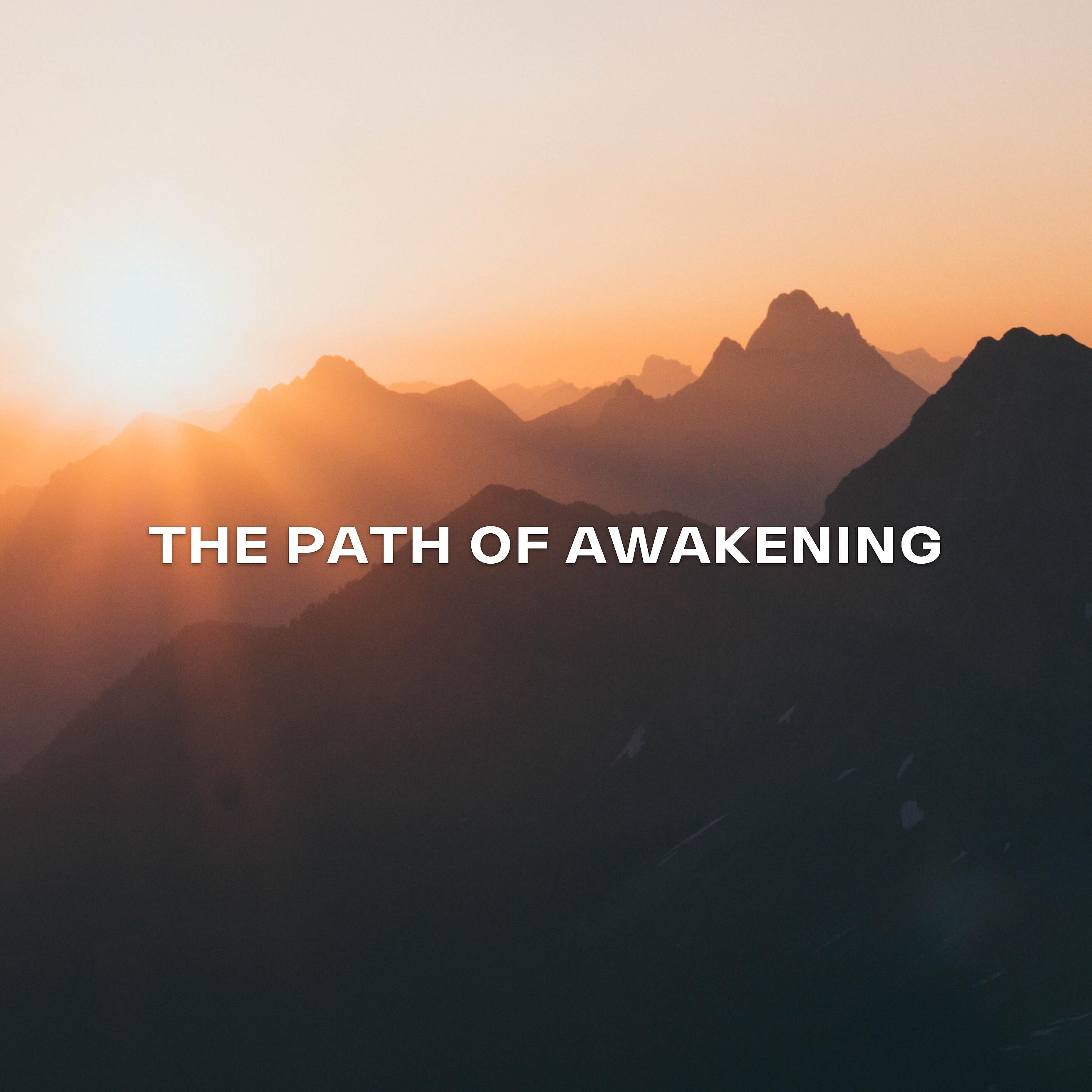 Релиз The Path of Awakening