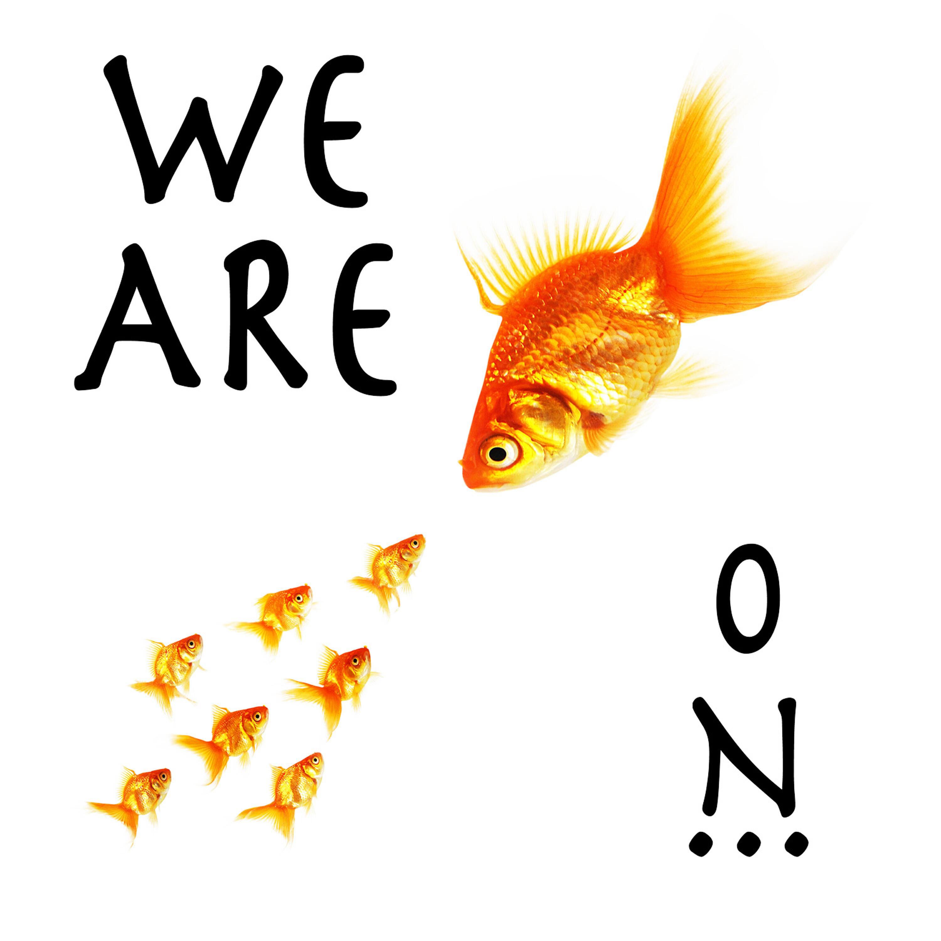 Релиз We Are On...