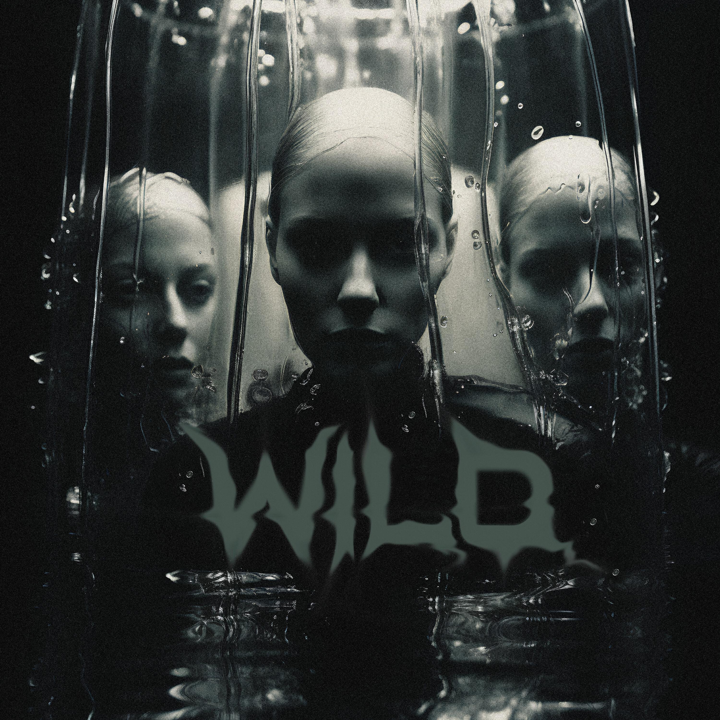 Релиз Wild