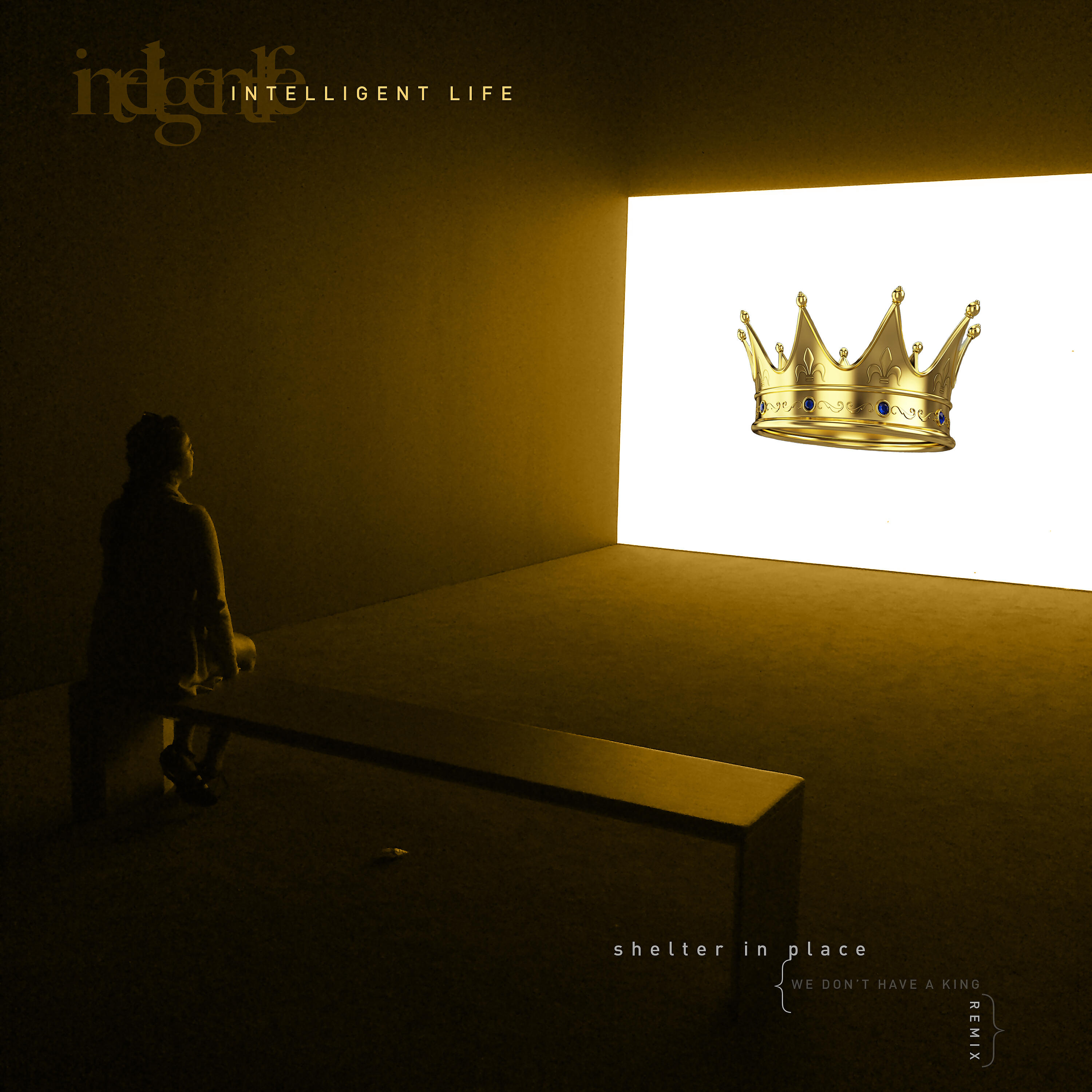 Релиз Shelter in Place (We Don't Have a King Remix)