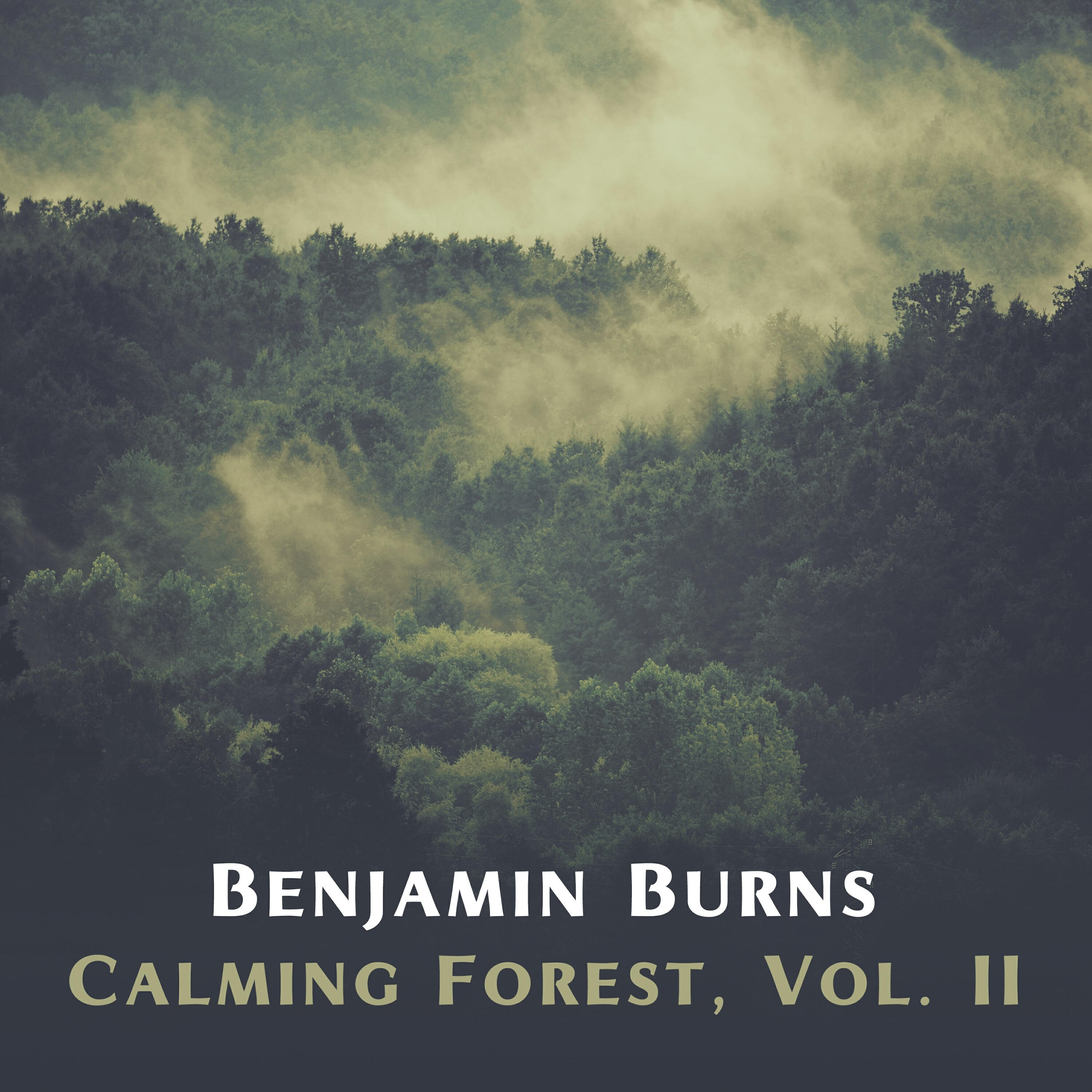Релиз Calming Forest, Vol. II
