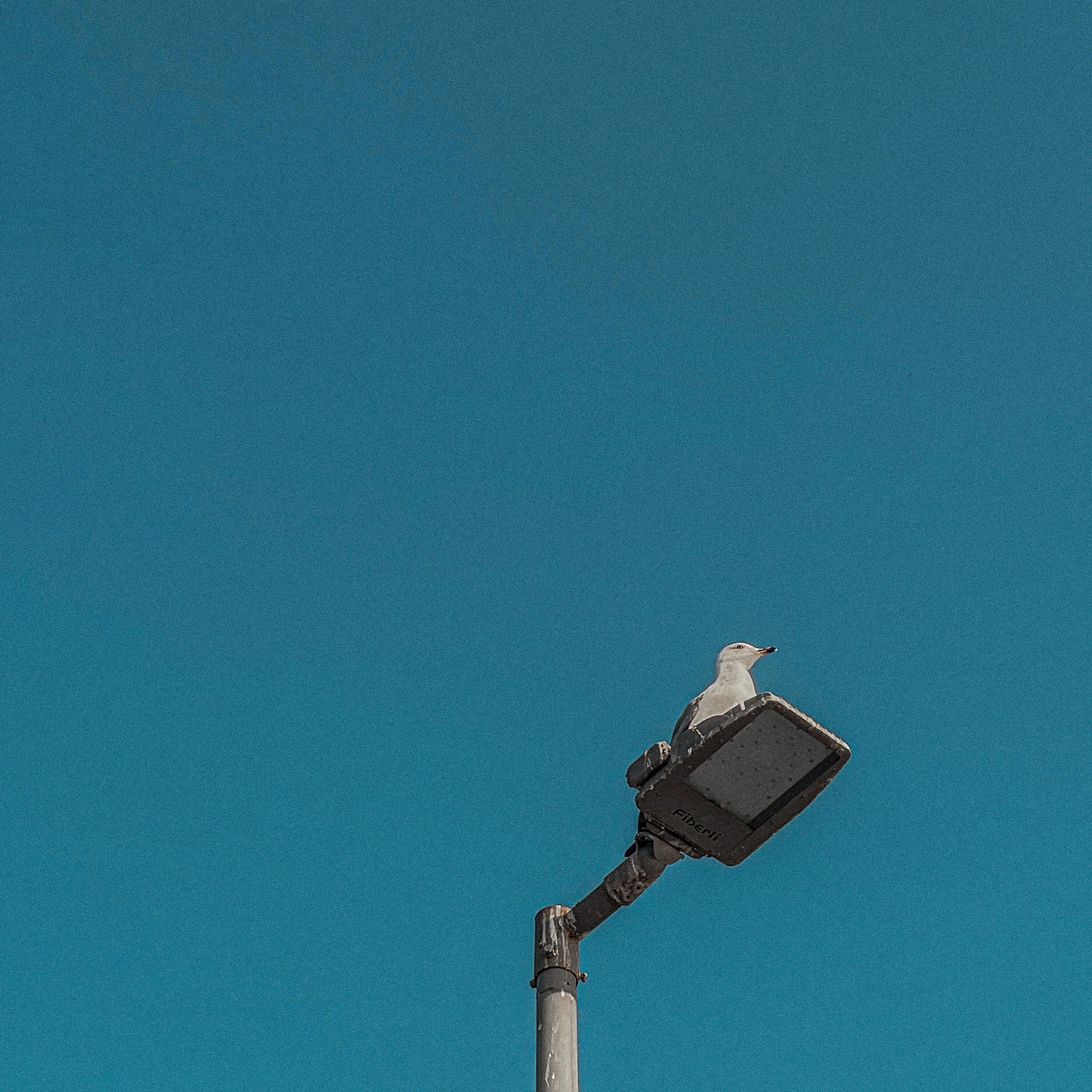 Коллективное бессознательное