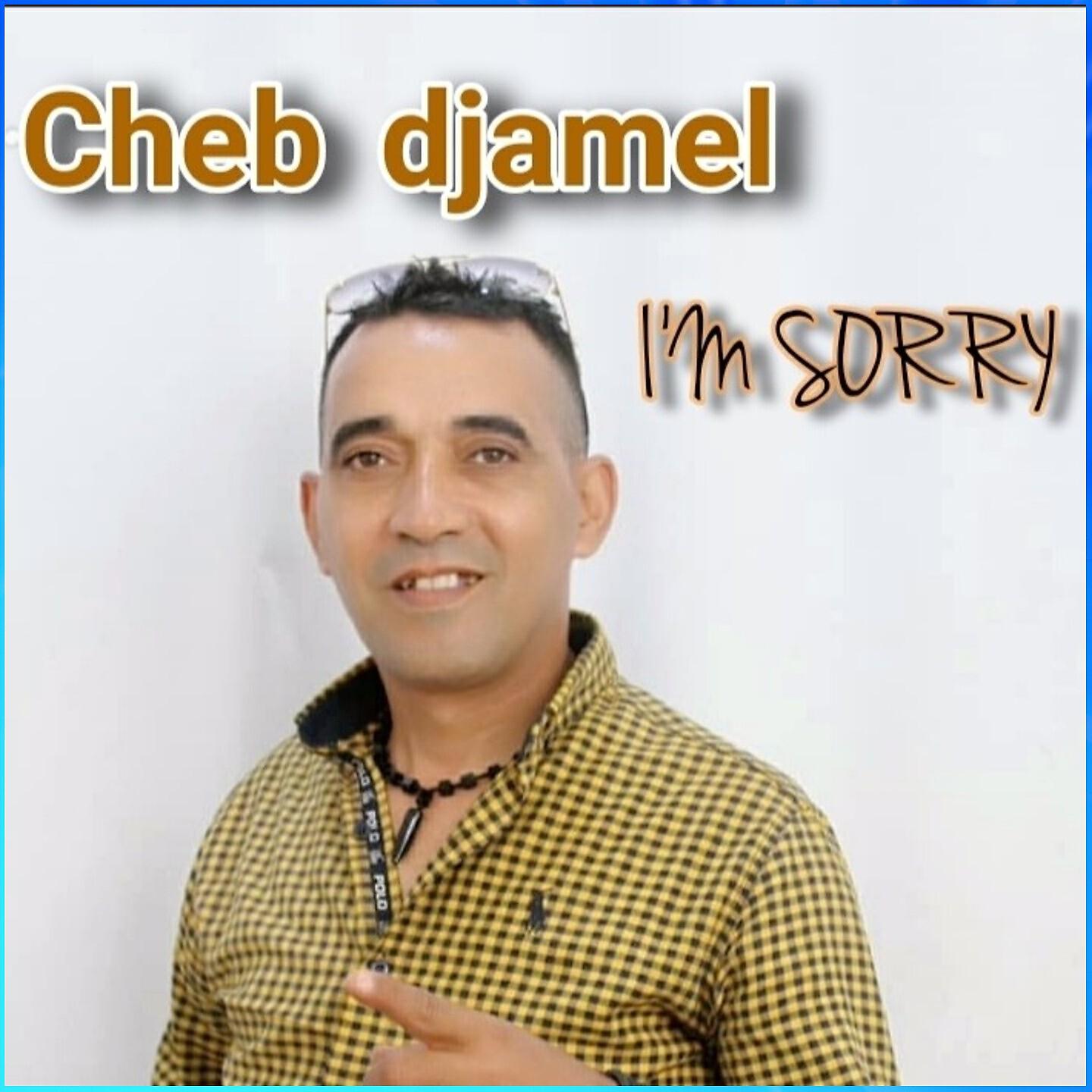 Релиз I'm Sorry