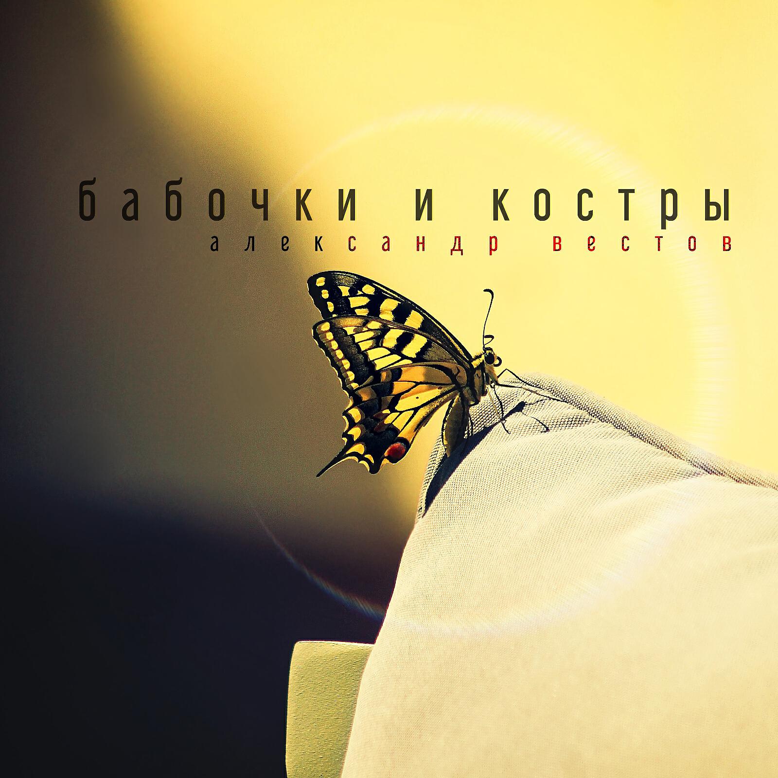 Релиз Бабочки и костры