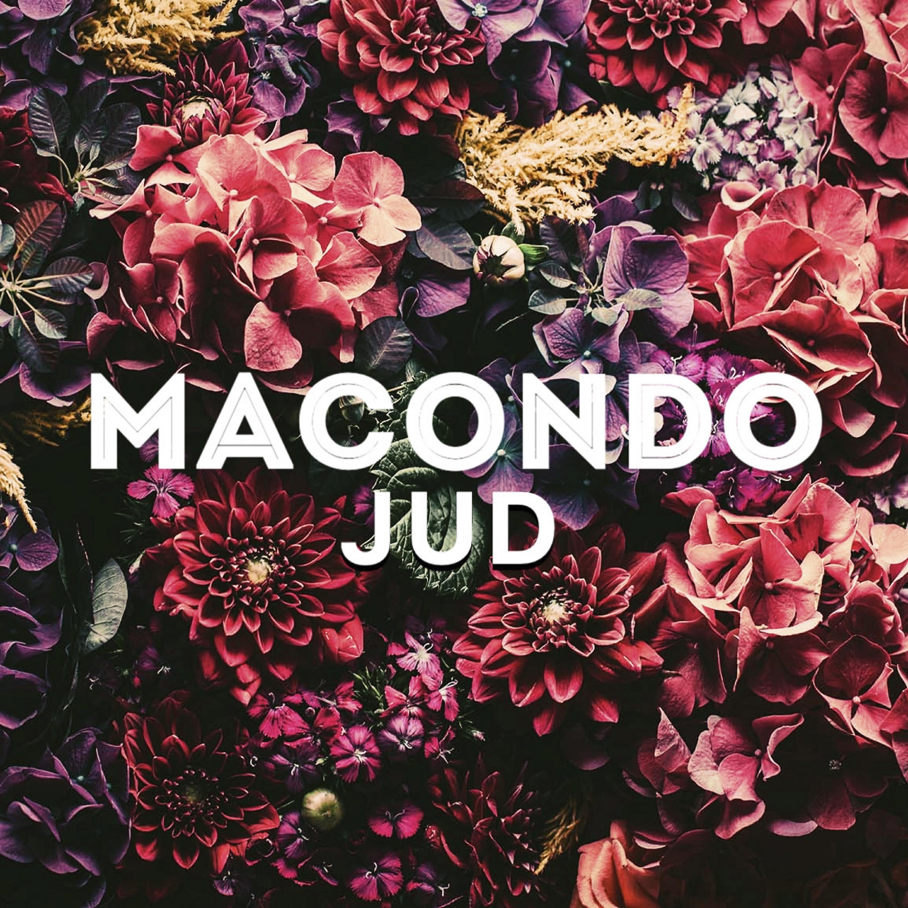Релиз Macondo