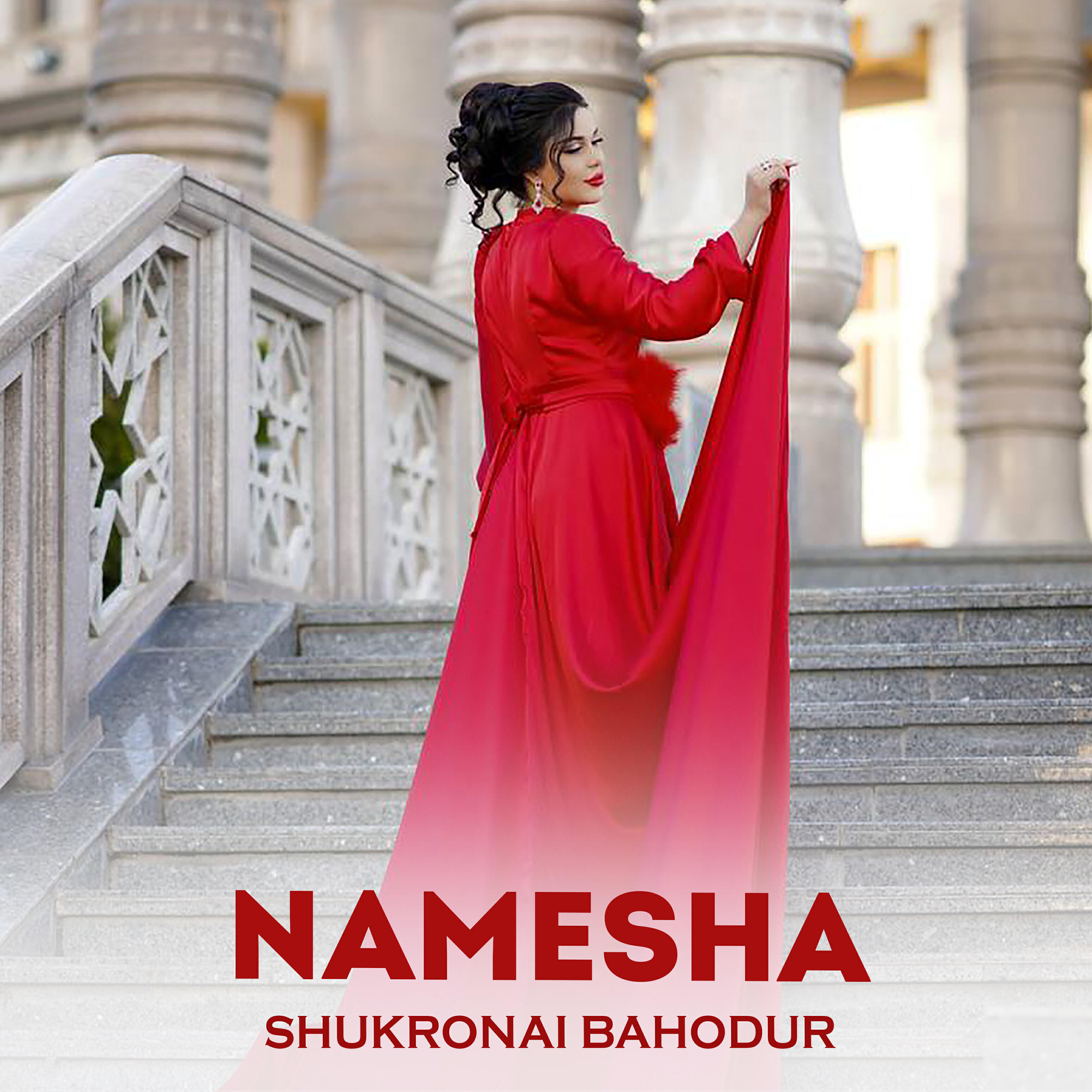 Релиз Namesha