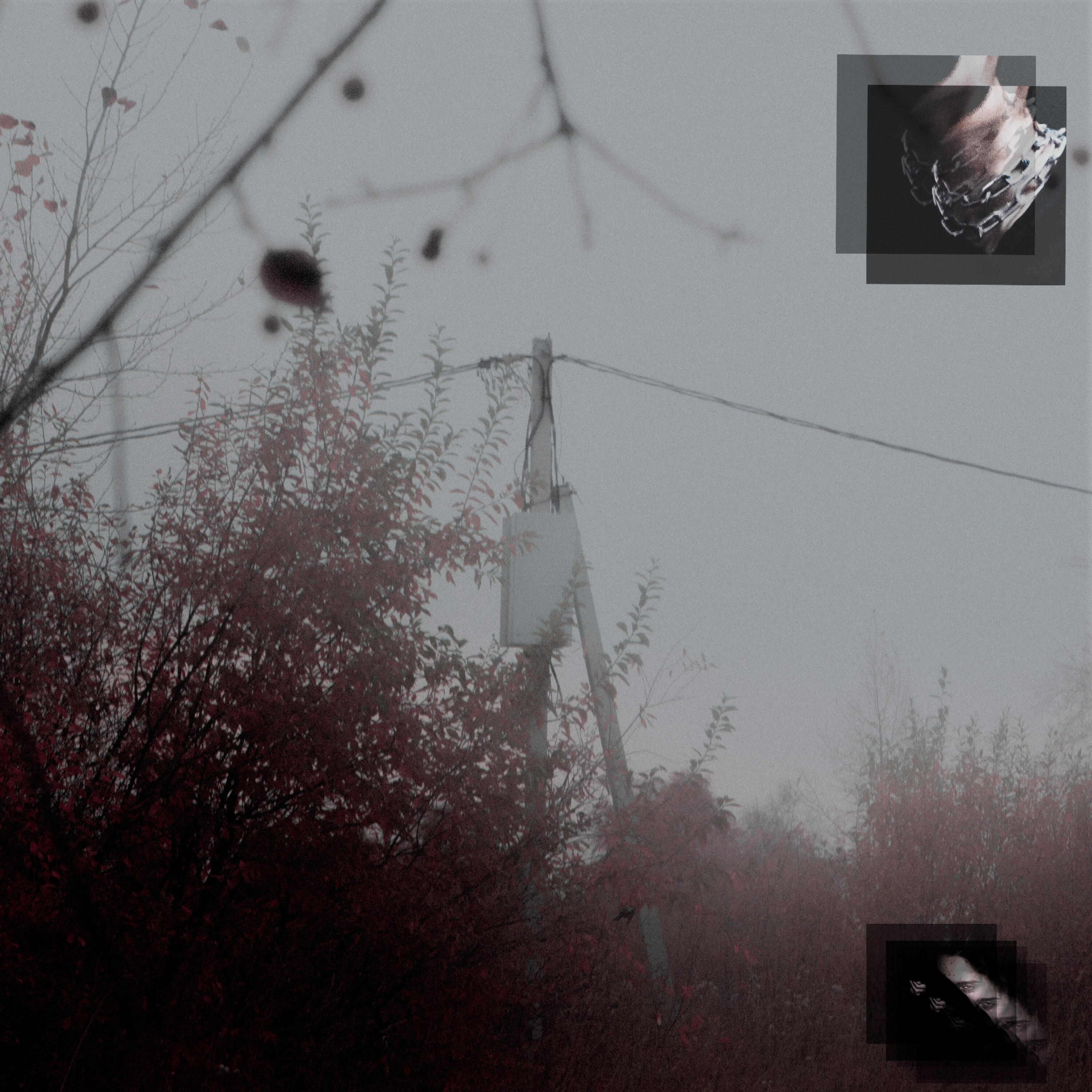 Релиз Shimmering Places