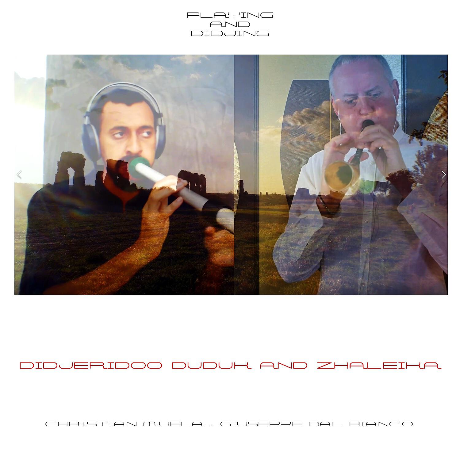 Релиз Didjeridoo Duduk and Zhaleika