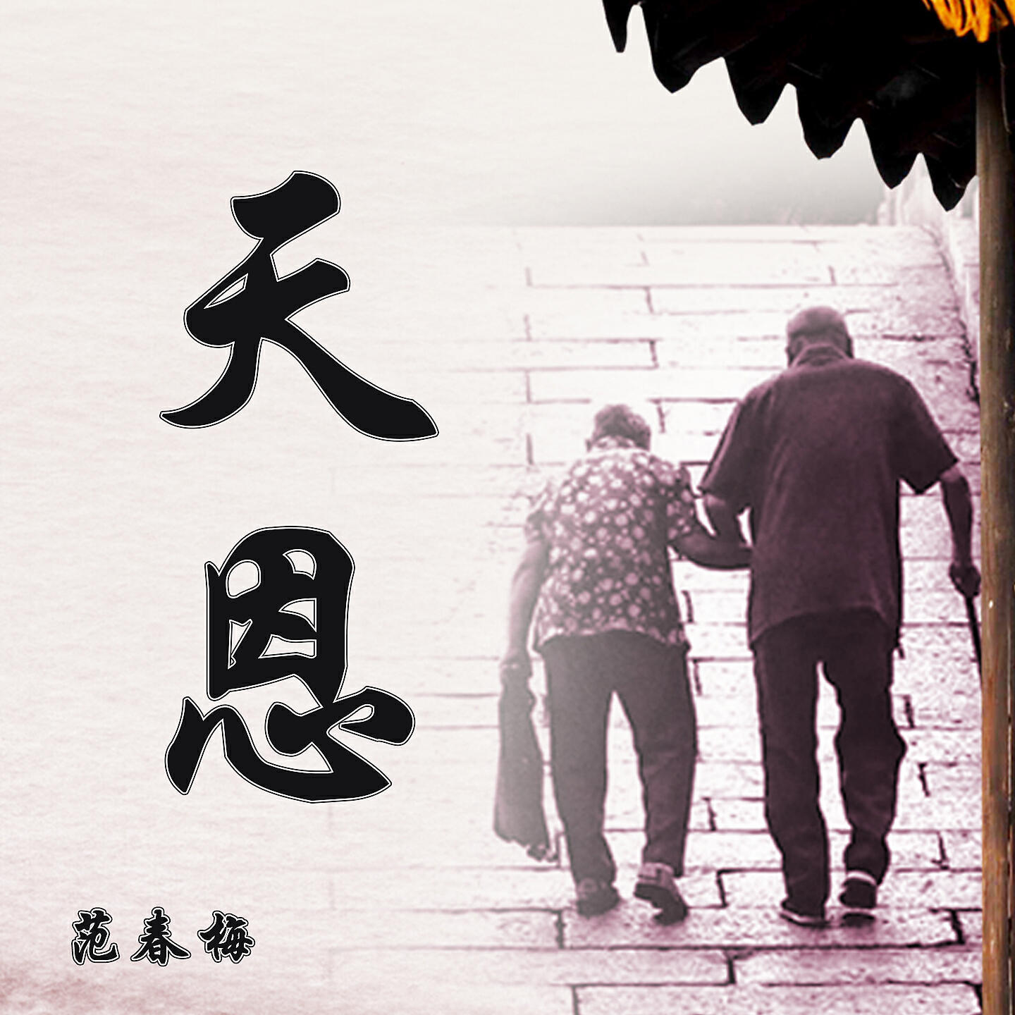 Релиз 天恩