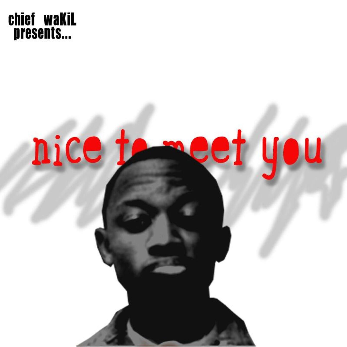 Релиз Nice to Meet You