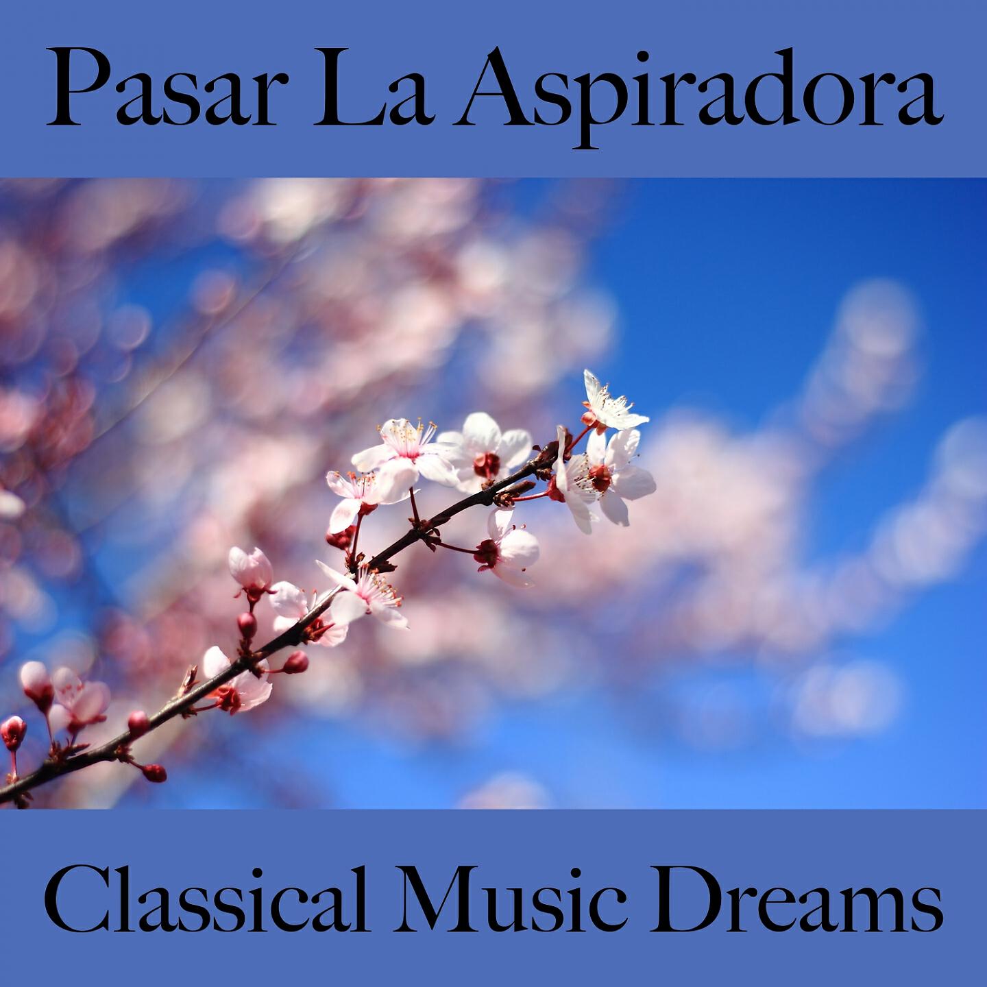 Релиз Pasar La Aspiradora: Classical Music Dreams - La Mejor Música Para Descancarse
