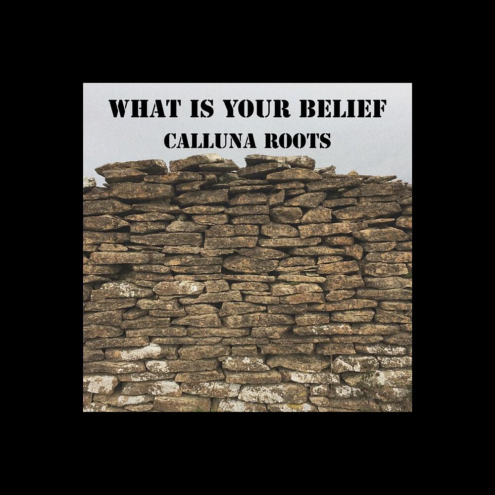 Релиз What Is Your Belief