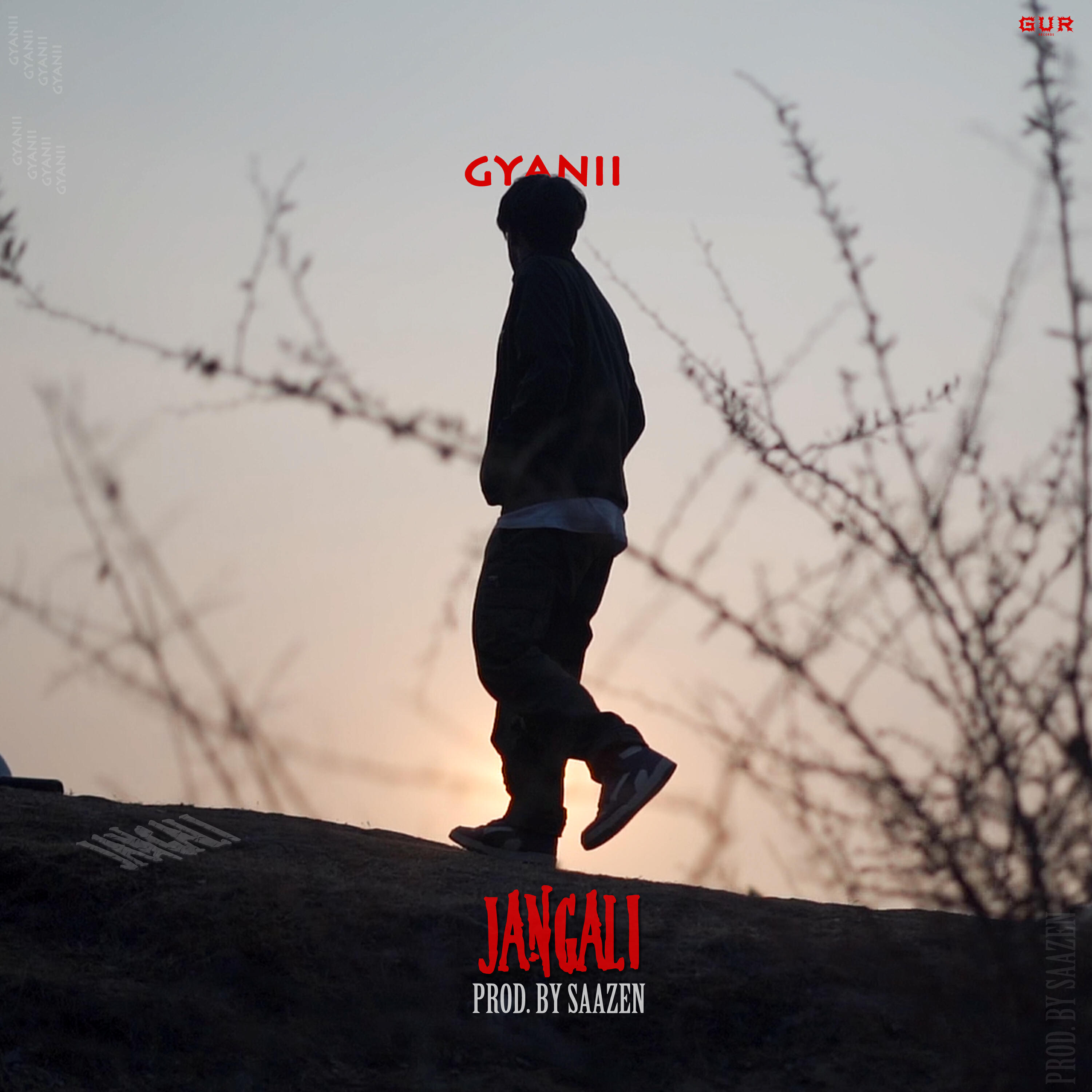Релиз Jangali