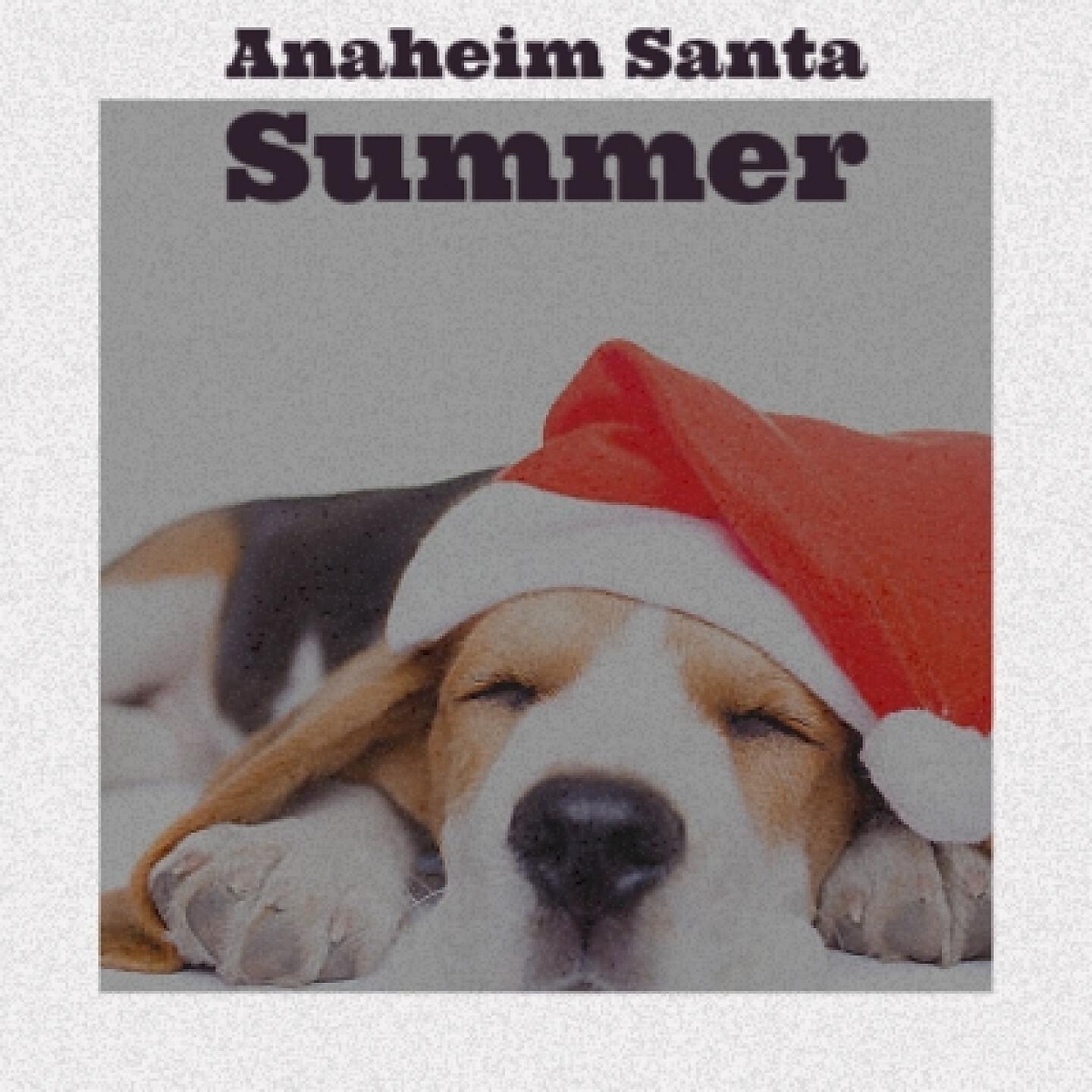 Релиз Anaheim Santa Summer