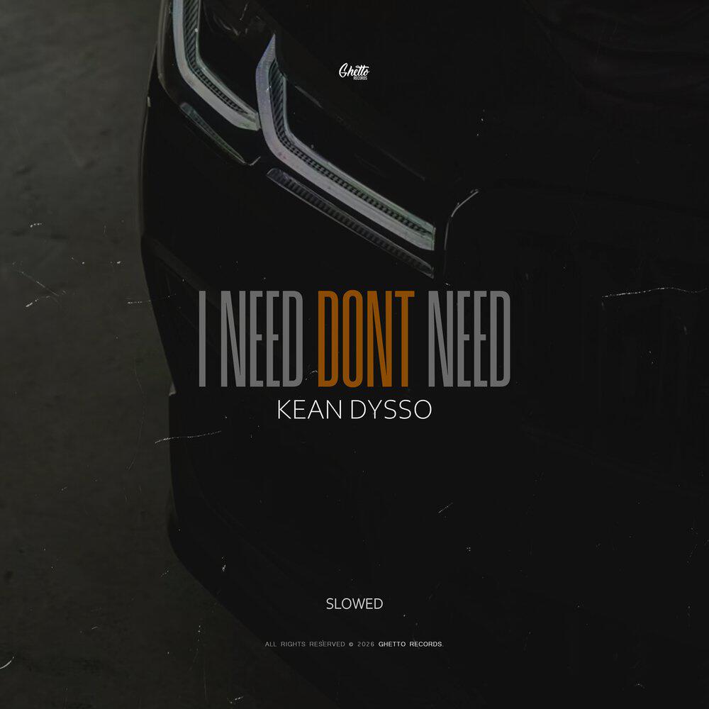 Релиз I Need Dont Need (Slowed)