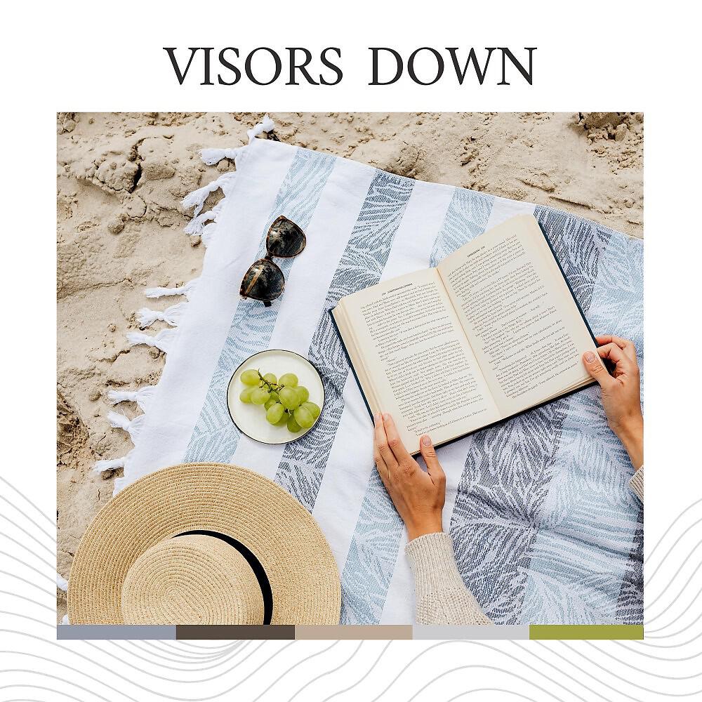 Релиз Visors Down