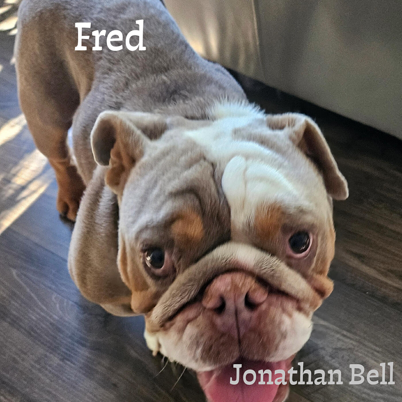 Релиз Fred