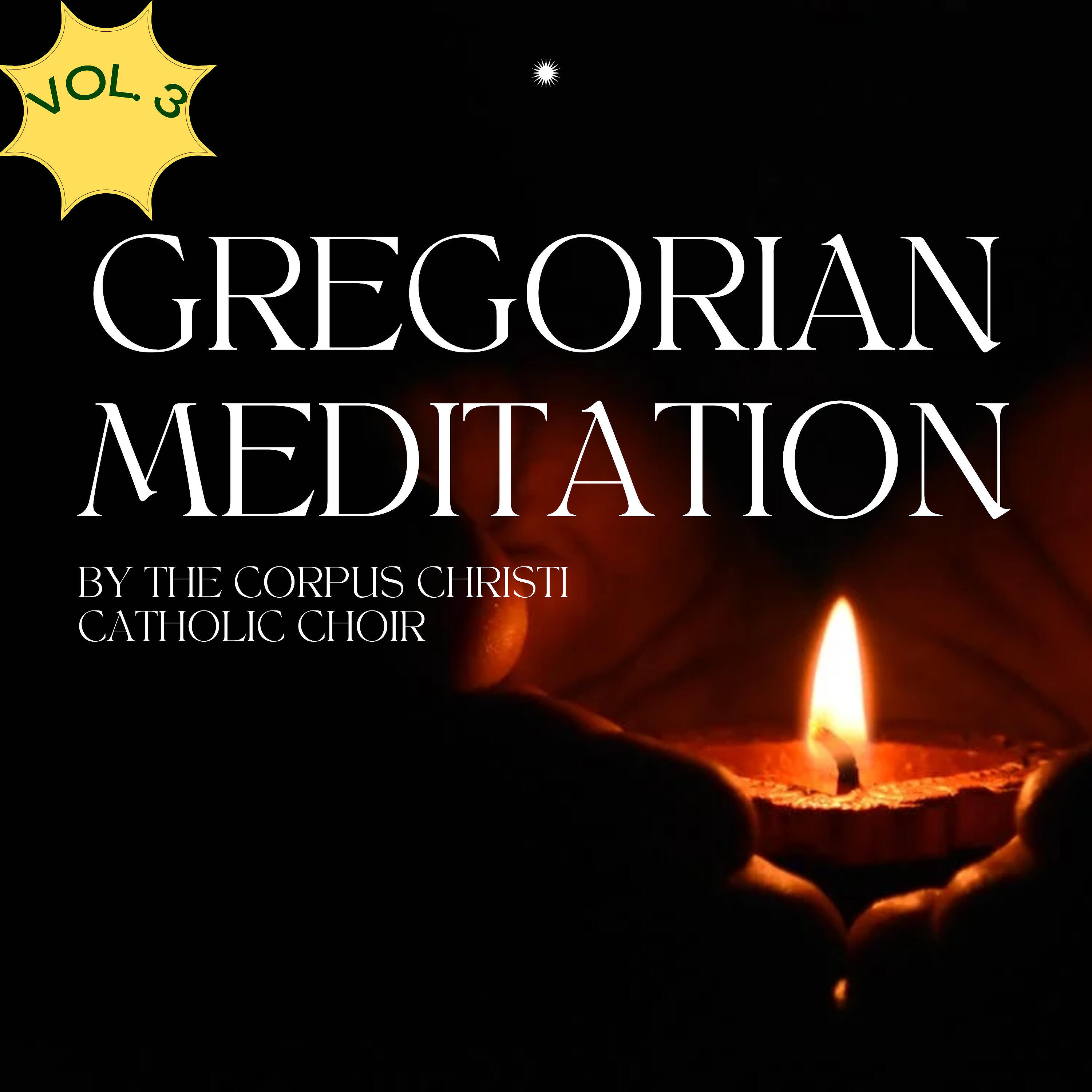 Релиз Gregorian Meditation, Vol. 3