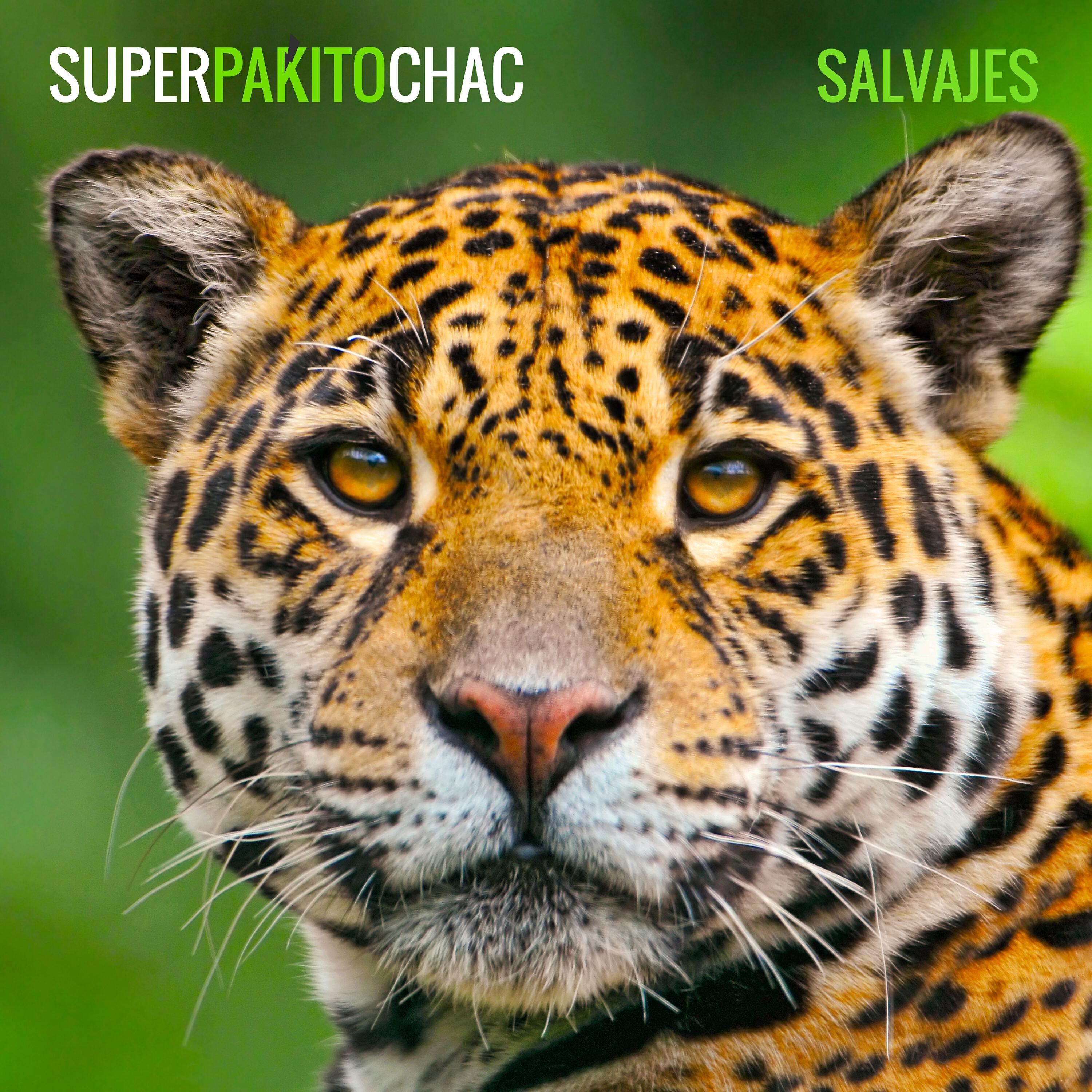 Релиз Salvajes