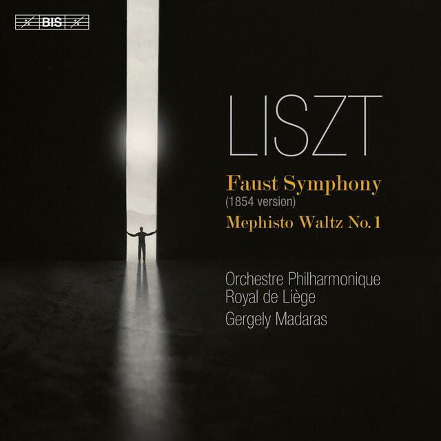 Постер альбома Liszt: Faust Symphony