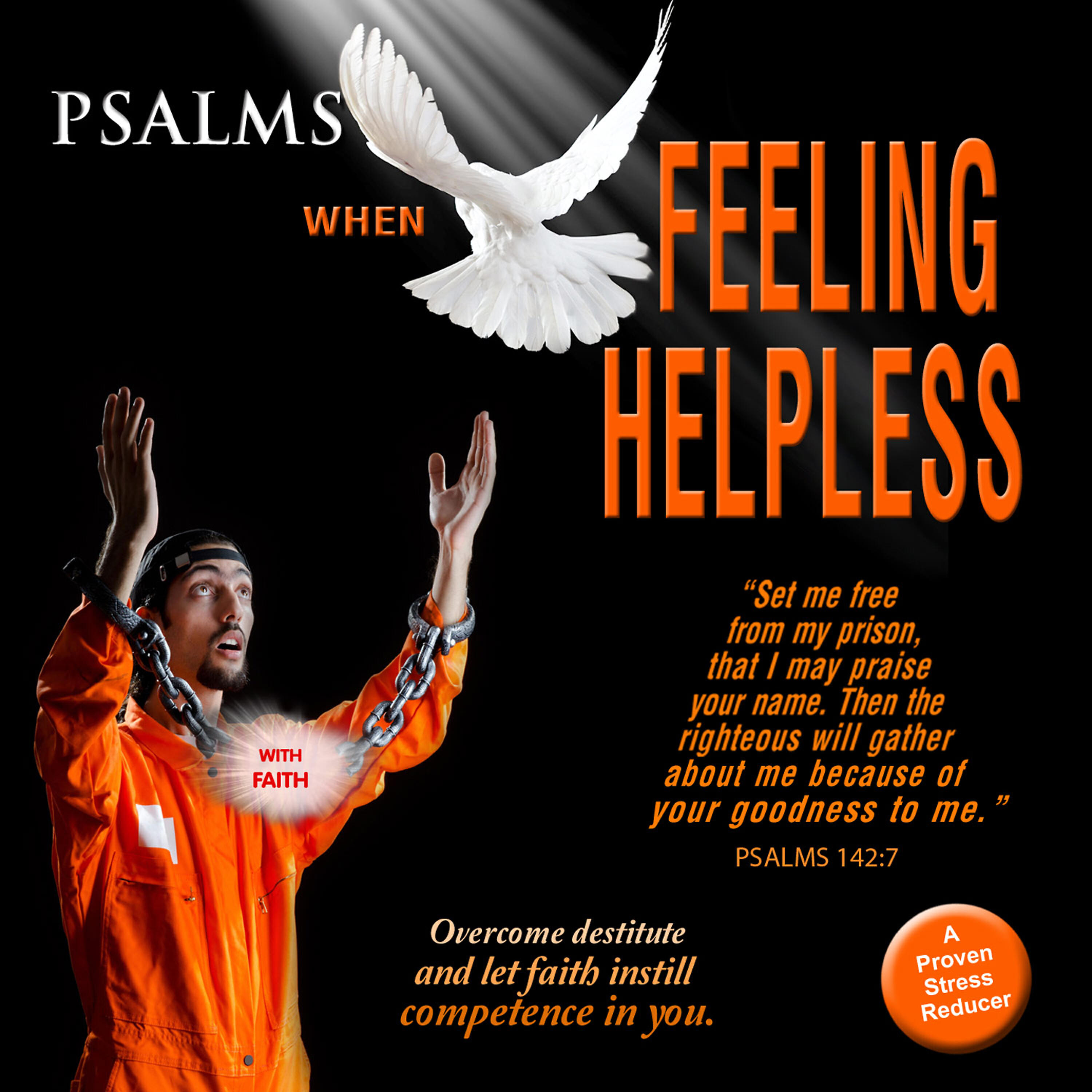 Релиз Psalms When Feeling Helpless