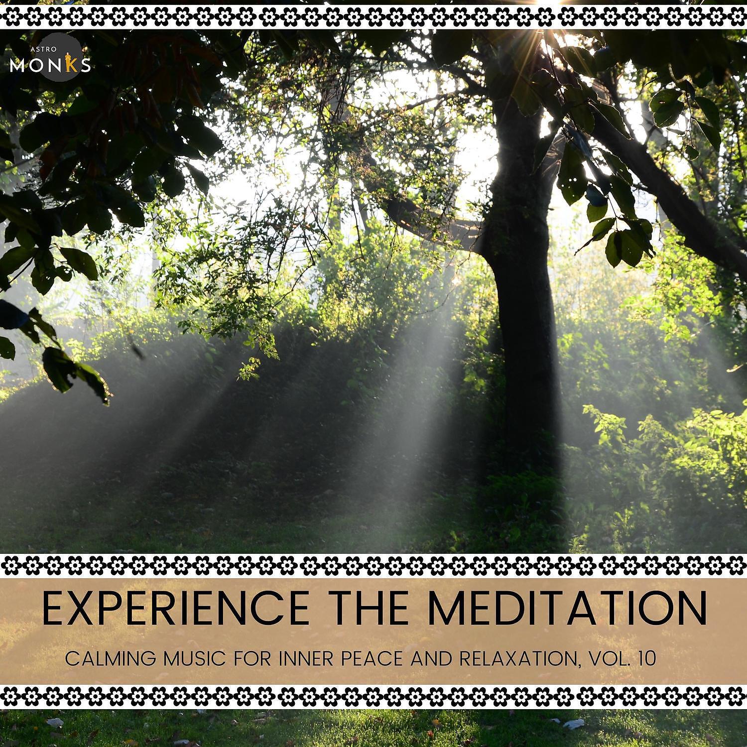 Постер альбома Experience the Meditation - Calming Music for Inner Peace and Relaxation, Vol. 10