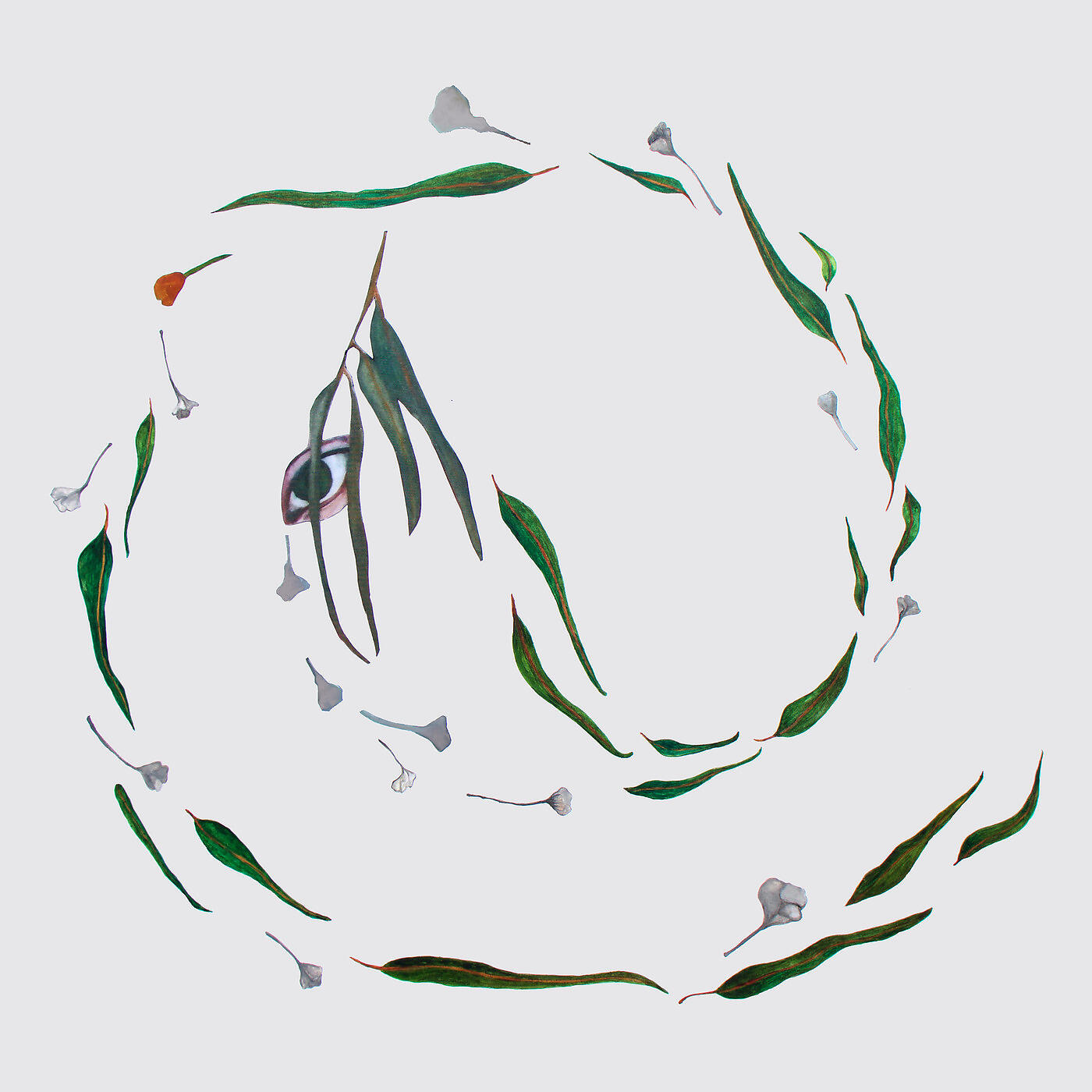 Релиз June