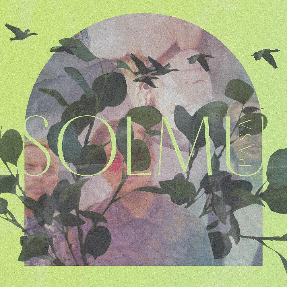 Релиз Solmu
