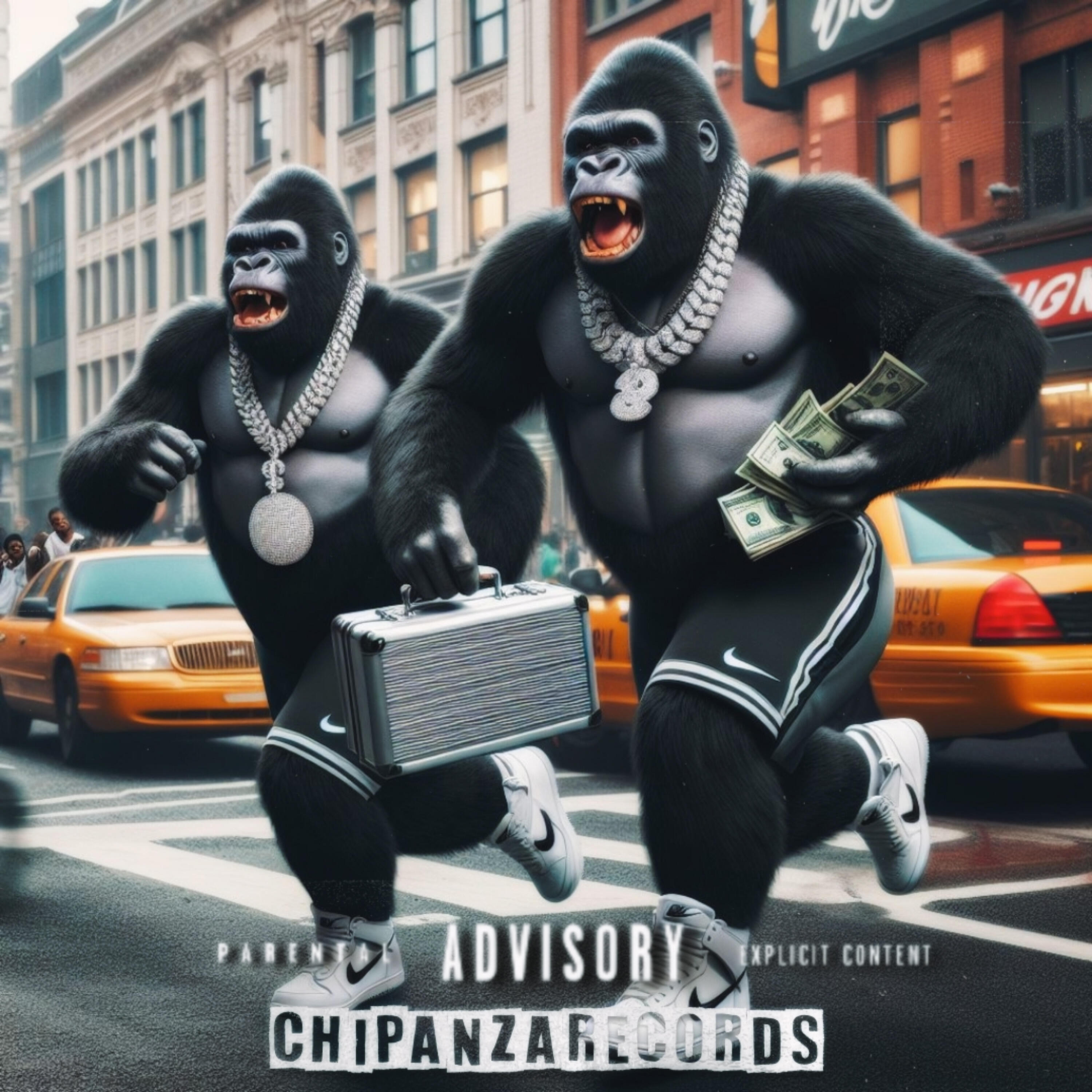 Релиз Plano Milionário