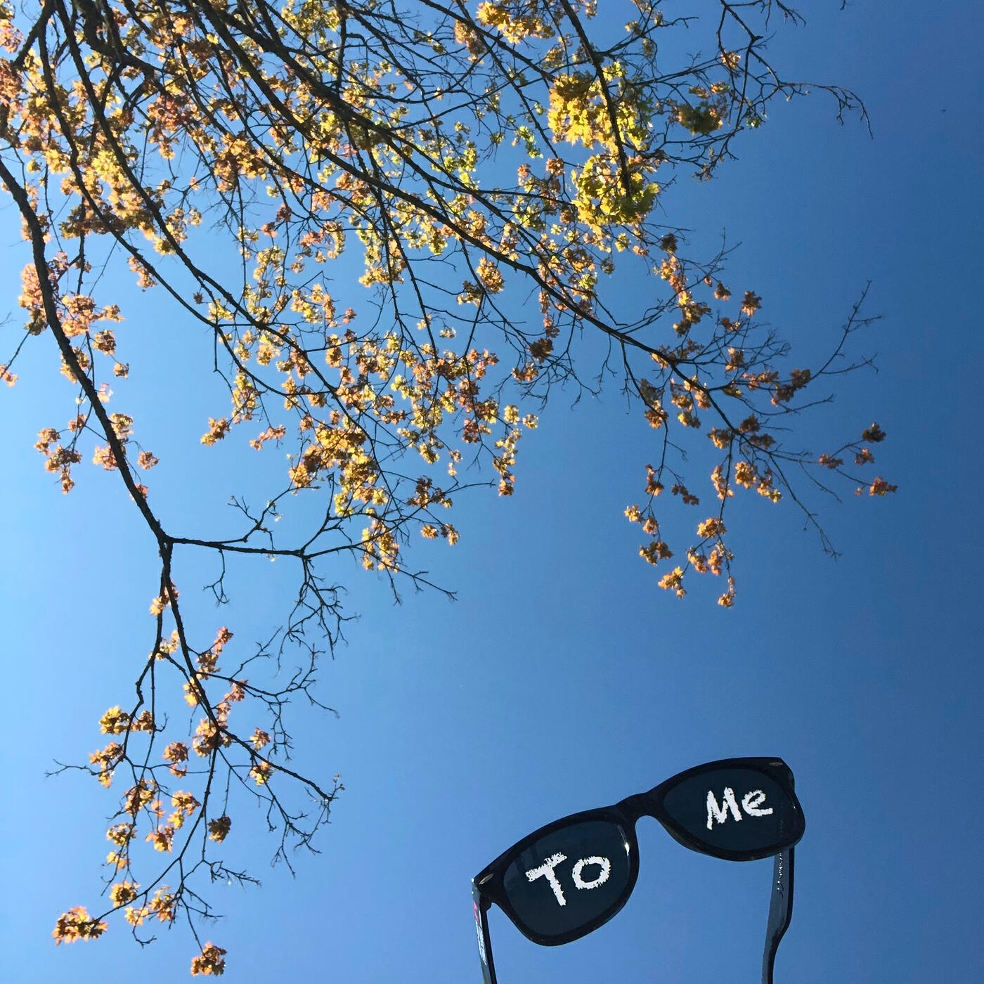 Релиз To Me