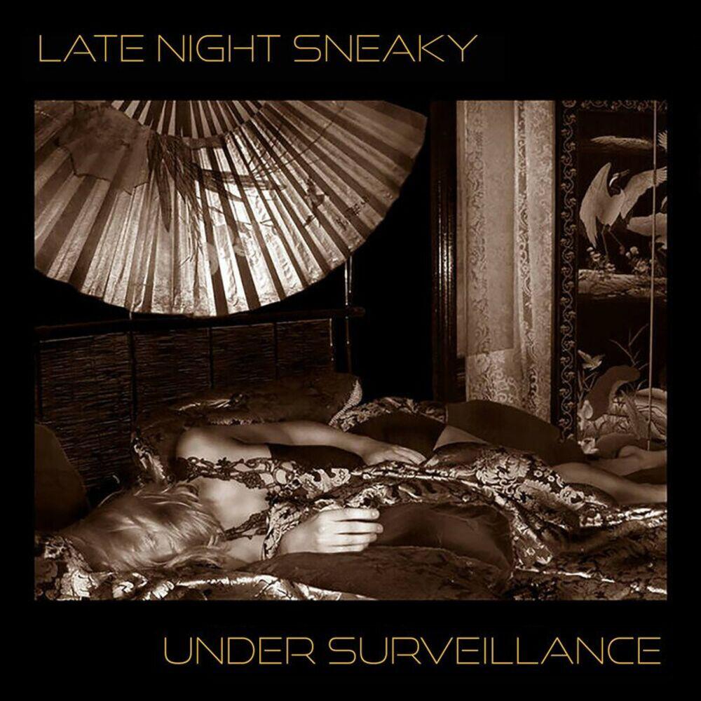 Релиз Under Surveilance
