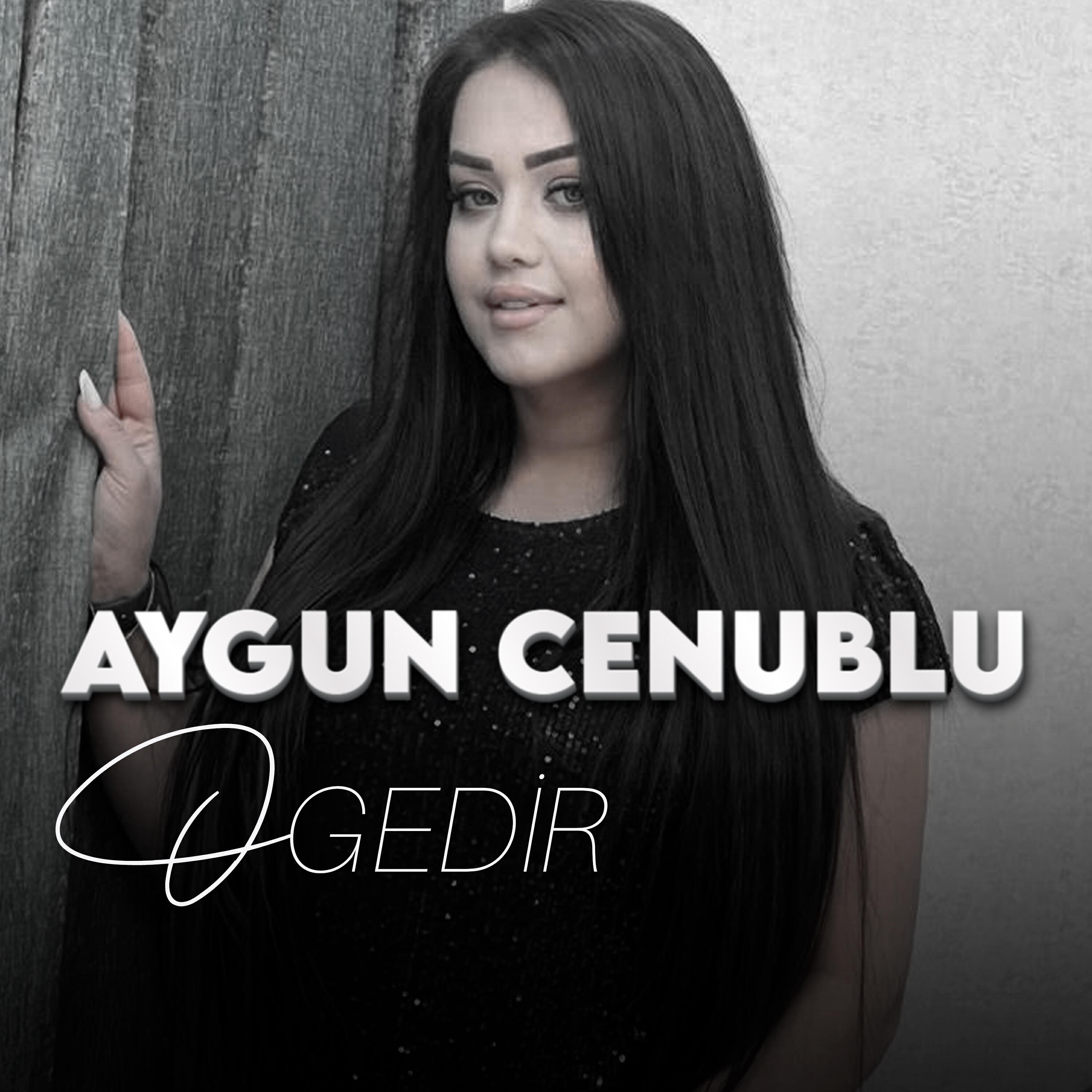 Aygun Cenublu
