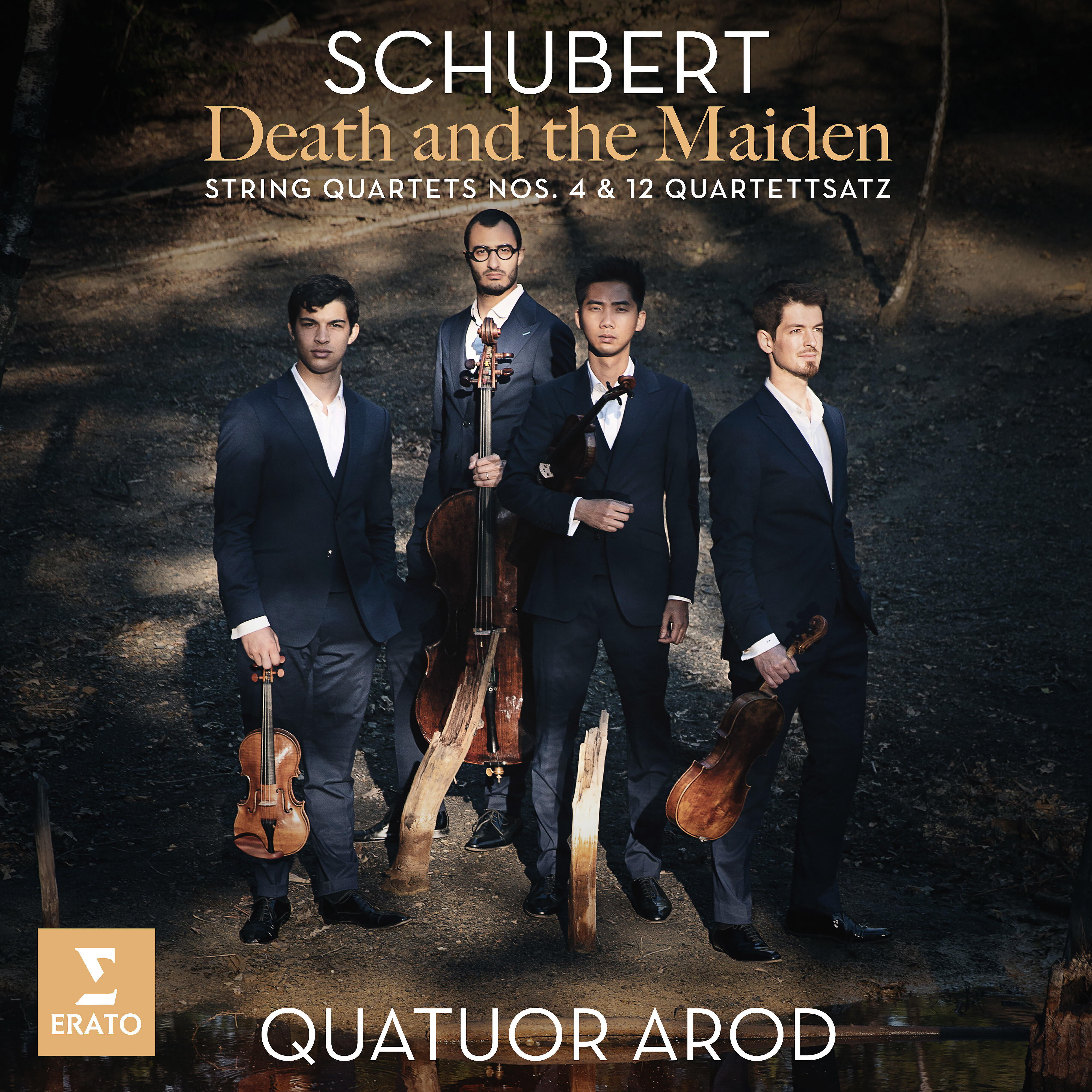 Релиз Death and the Maiden - String Quartet No. 14 in D Minor, D. 810, "Death and the Maiden": II. Andante con moto. Theme