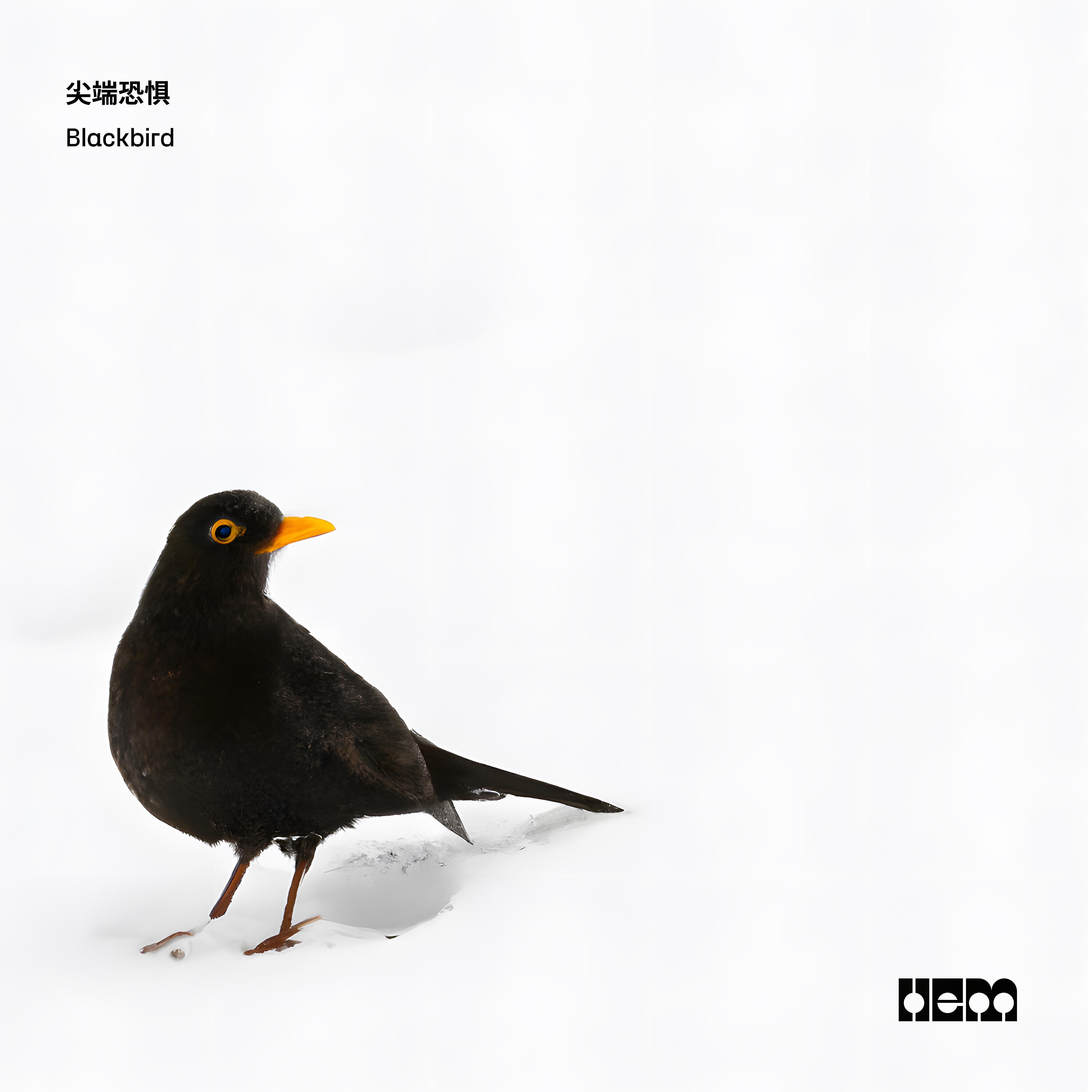 Релиз 乌鸫